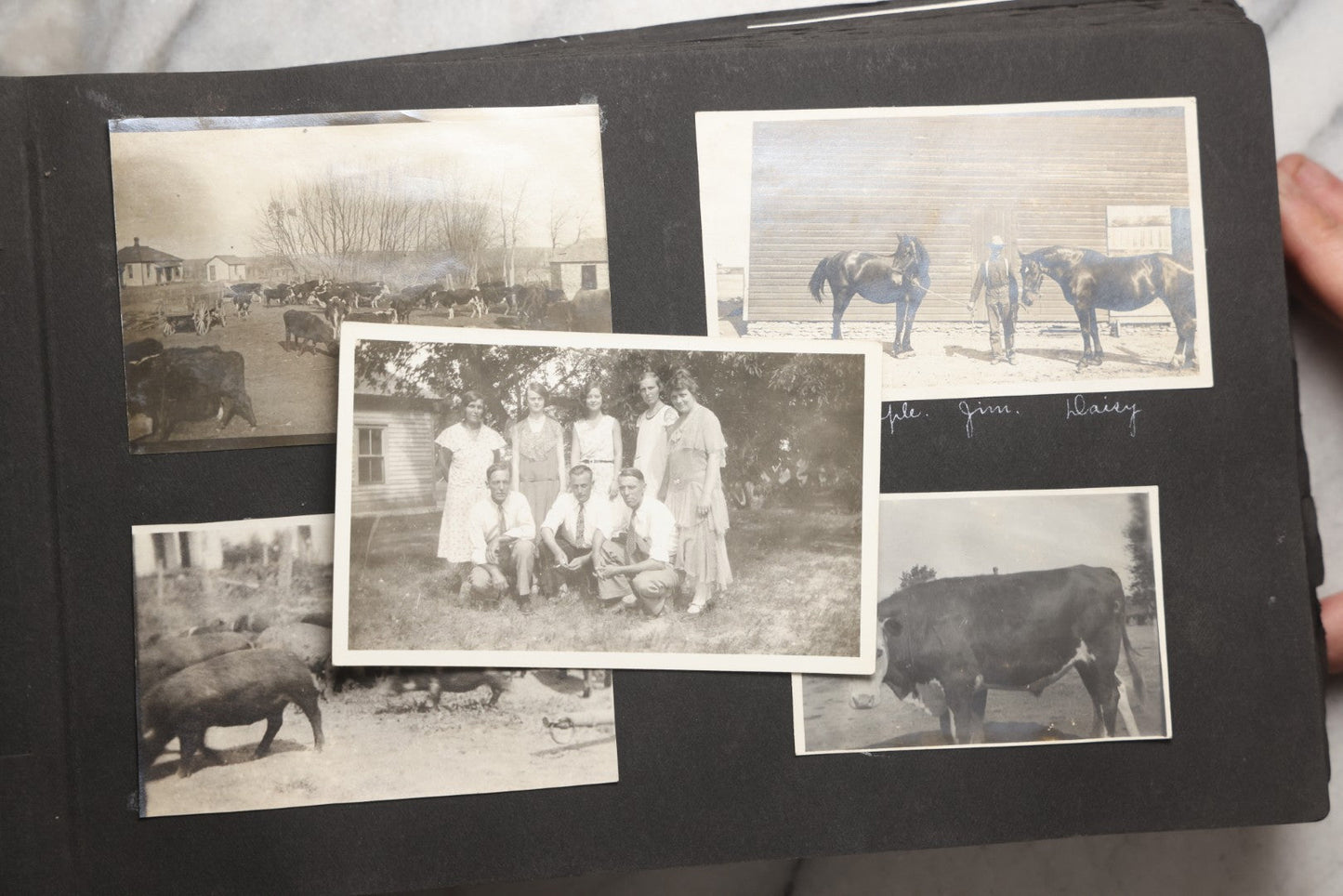 Lot 025 - Antique Snapshot Photo Album Gifted To Zella On Christmas 1916 With 1750+ Photos Of Midwest And Western Scenes Including Telluride & Greeley Colorado, Farm Life, Animals, Automobiles, Oil Wells, Early Aviation, And WWI Soldiers, 1916–1920