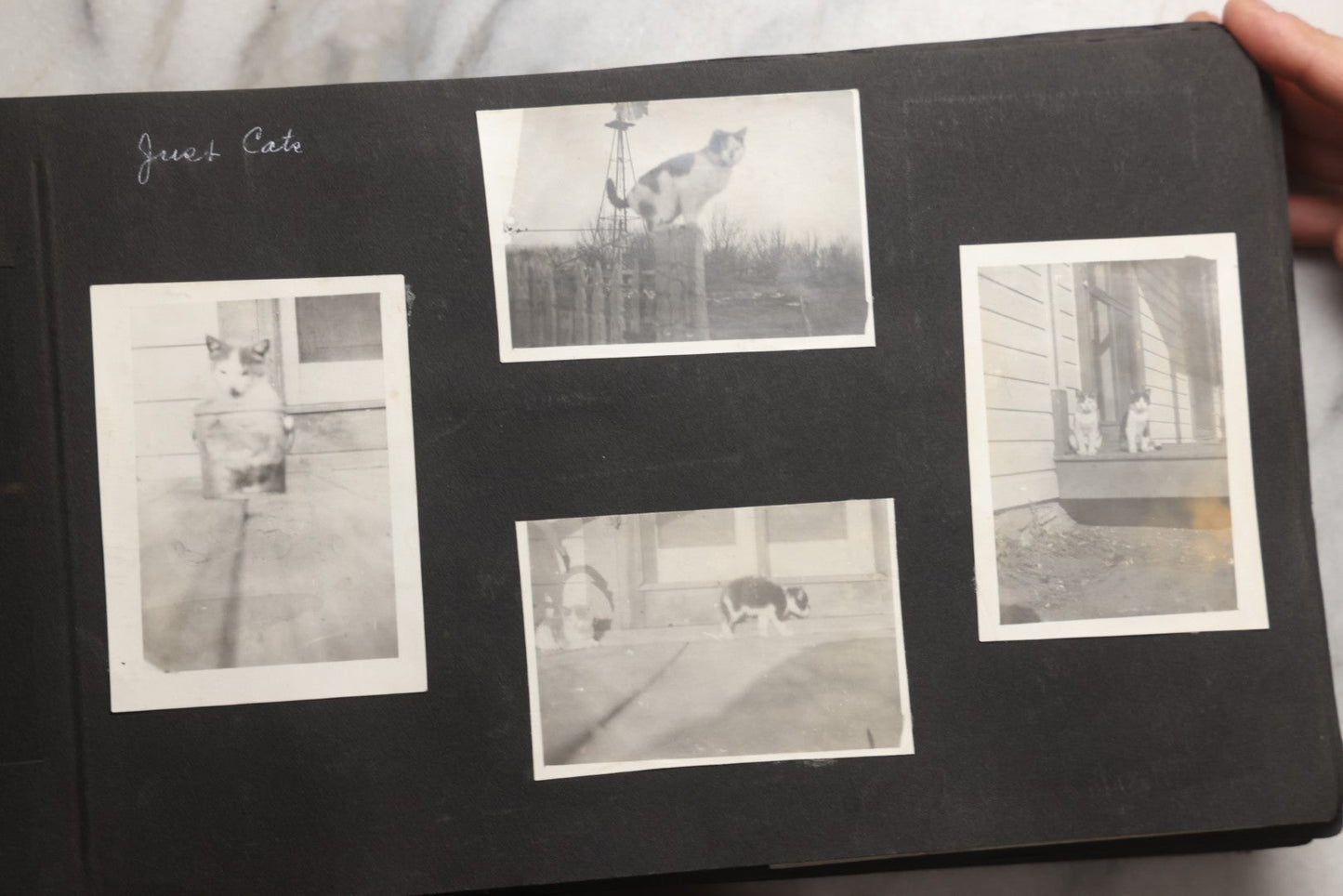 Lot 025 - Antique Snapshot Photo Album Gifted To Zella On Christmas 1916 With 1750+ Photos Of Midwest And Western Scenes Including Telluride & Greeley Colorado, Farm Life, Animals, Automobiles, Oil Wells, Early Aviation, And WWI Soldiers, 1916–1920