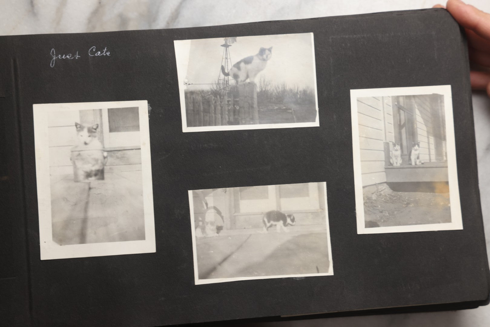 Lot 025 - Antique Snapshot Photo Album Gifted To Zella On Christmas 1916 With 1750+ Photos Of Midwest And Western Scenes Including Telluride & Greeley Colorado, Farm Life, Animals, Automobiles, Oil Wells, Early Aviation, And WWI Soldiers, 1916–1920