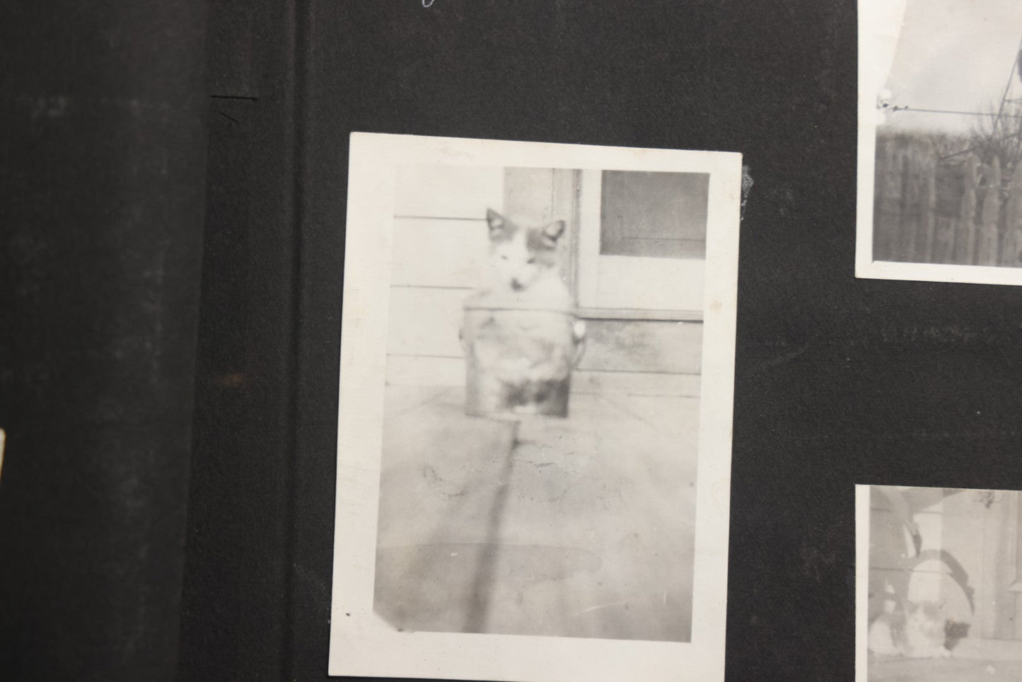 Lot 025 - Antique Snapshot Photo Album Gifted To Zella On Christmas 1916 With 1750+ Photos Of Midwest And Western Scenes Including Telluride & Greeley Colorado, Farm Life, Animals, Automobiles, Oil Wells, Early Aviation, And WWI Soldiers, 1916–1920