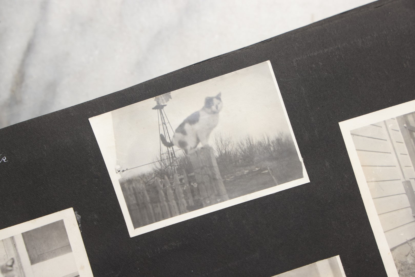 Lot 025 - Antique Snapshot Photo Album Gifted To Zella On Christmas 1916 With 1750+ Photos Of Midwest And Western Scenes Including Telluride & Greeley Colorado, Farm Life, Animals, Automobiles, Oil Wells, Early Aviation, And WWI Soldiers, 1916–1920