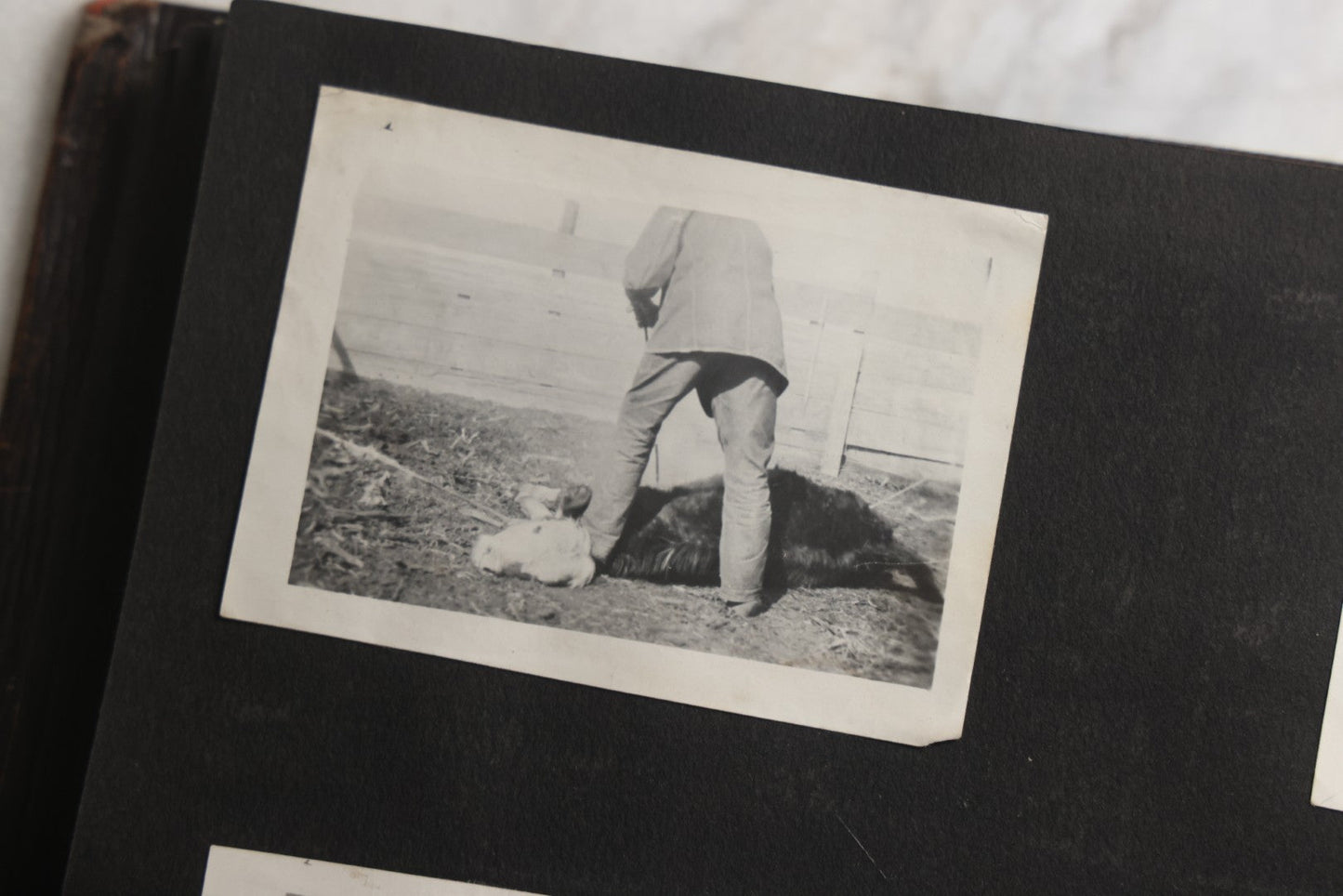 Lot 025 - Antique Snapshot Photo Album Gifted To Zella On Christmas 1916 With 1750+ Photos Of Midwest And Western Scenes Including Telluride & Greeley Colorado, Farm Life, Animals, Automobiles, Oil Wells, Early Aviation, And WWI Soldiers, 1916–1920