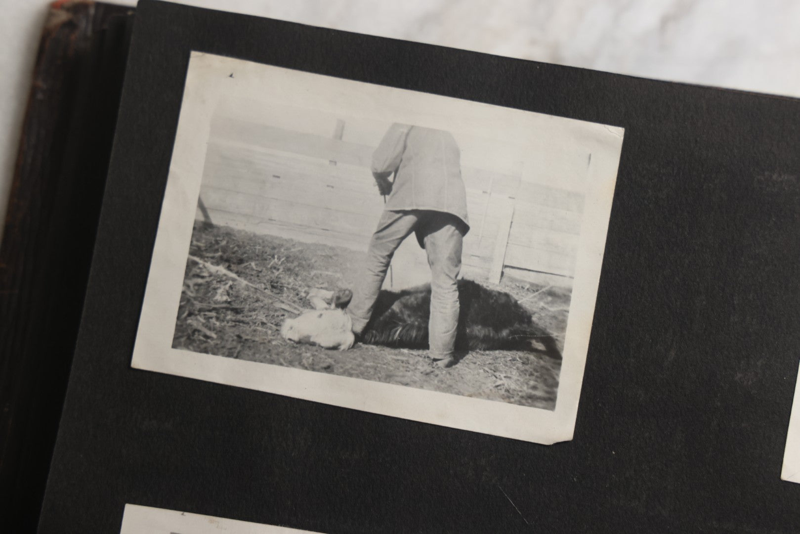 Lot 025 - Antique Snapshot Photo Album Gifted To Zella On Christmas 1916 With 1750+ Photos Of Midwest And Western Scenes Including Telluride & Greeley Colorado, Farm Life, Animals, Automobiles, Oil Wells, Early Aviation, And WWI Soldiers, 1916–1920