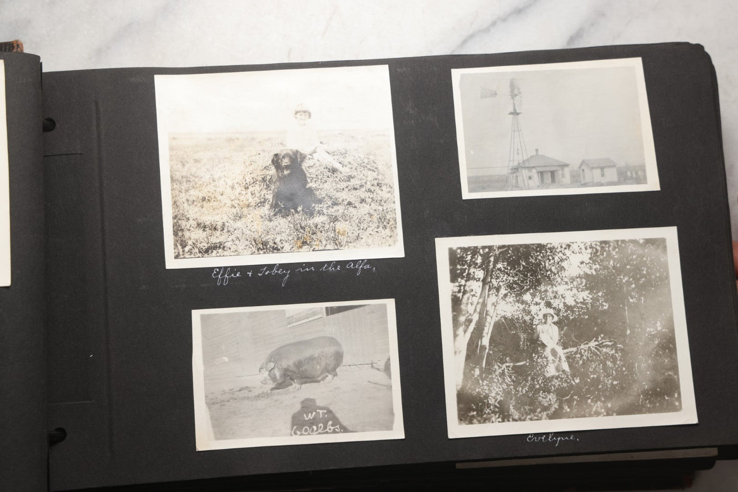 Lot 025 - Antique Snapshot Photo Album Gifted To Zella On Christmas 1916 With 1750+ Photos Of Midwest And Western Scenes Including Telluride & Greeley Colorado, Farm Life, Animals, Automobiles, Oil Wells, Early Aviation, And WWI Soldiers, 1916–1920