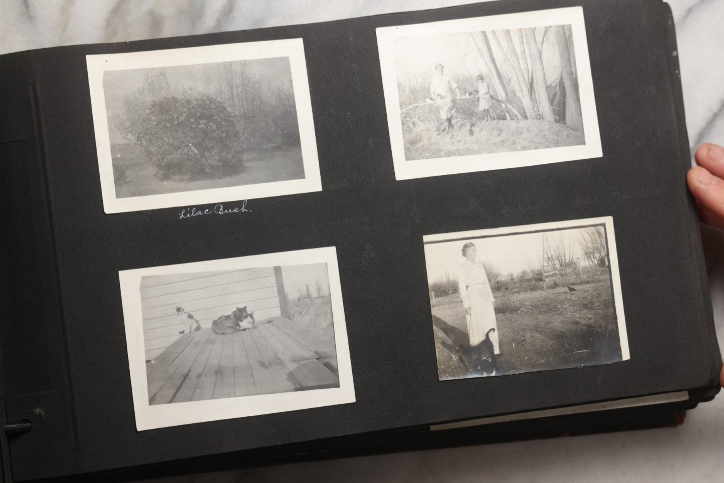 Lot 025 - Antique Snapshot Photo Album Gifted To Zella On Christmas 1916 With 1750+ Photos Of Midwest And Western Scenes Including Telluride & Greeley Colorado, Farm Life, Animals, Automobiles, Oil Wells, Early Aviation, And WWI Soldiers, 1916–1920