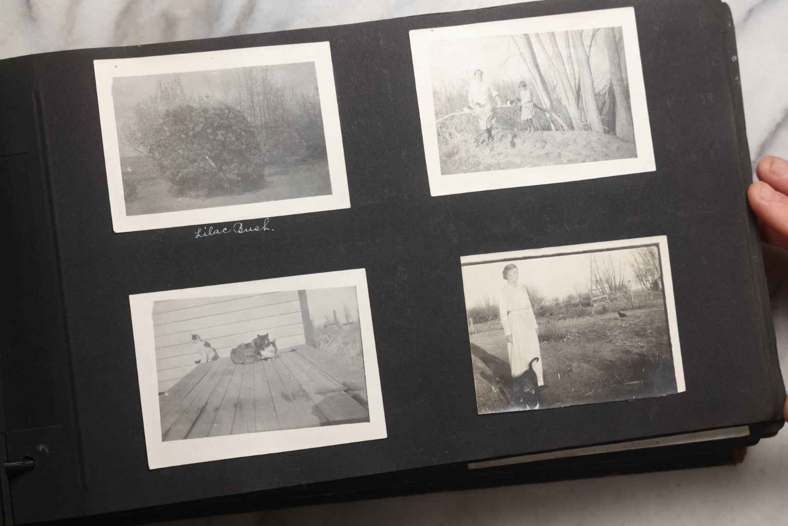 Lot 025 - Antique Snapshot Photo Album Gifted To Zella On Christmas 1916 With 1750+ Photos Of Midwest And Western Scenes Including Telluride & Greeley Colorado, Farm Life, Animals, Automobiles, Oil Wells, Early Aviation, And WWI Soldiers, 1916–1920