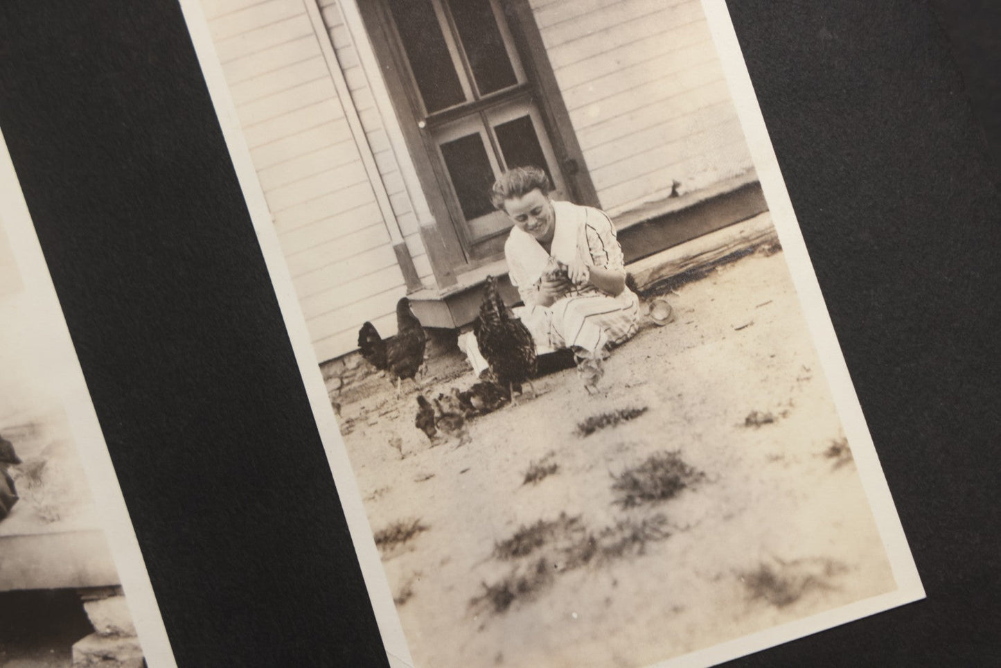 Lot 025 - Antique Snapshot Photo Album Gifted To Zella On Christmas 1916 With 1750+ Photos Of Midwest And Western Scenes Including Telluride & Greeley Colorado, Farm Life, Animals, Automobiles, Oil Wells, Early Aviation, And WWI Soldiers, 1916–1920