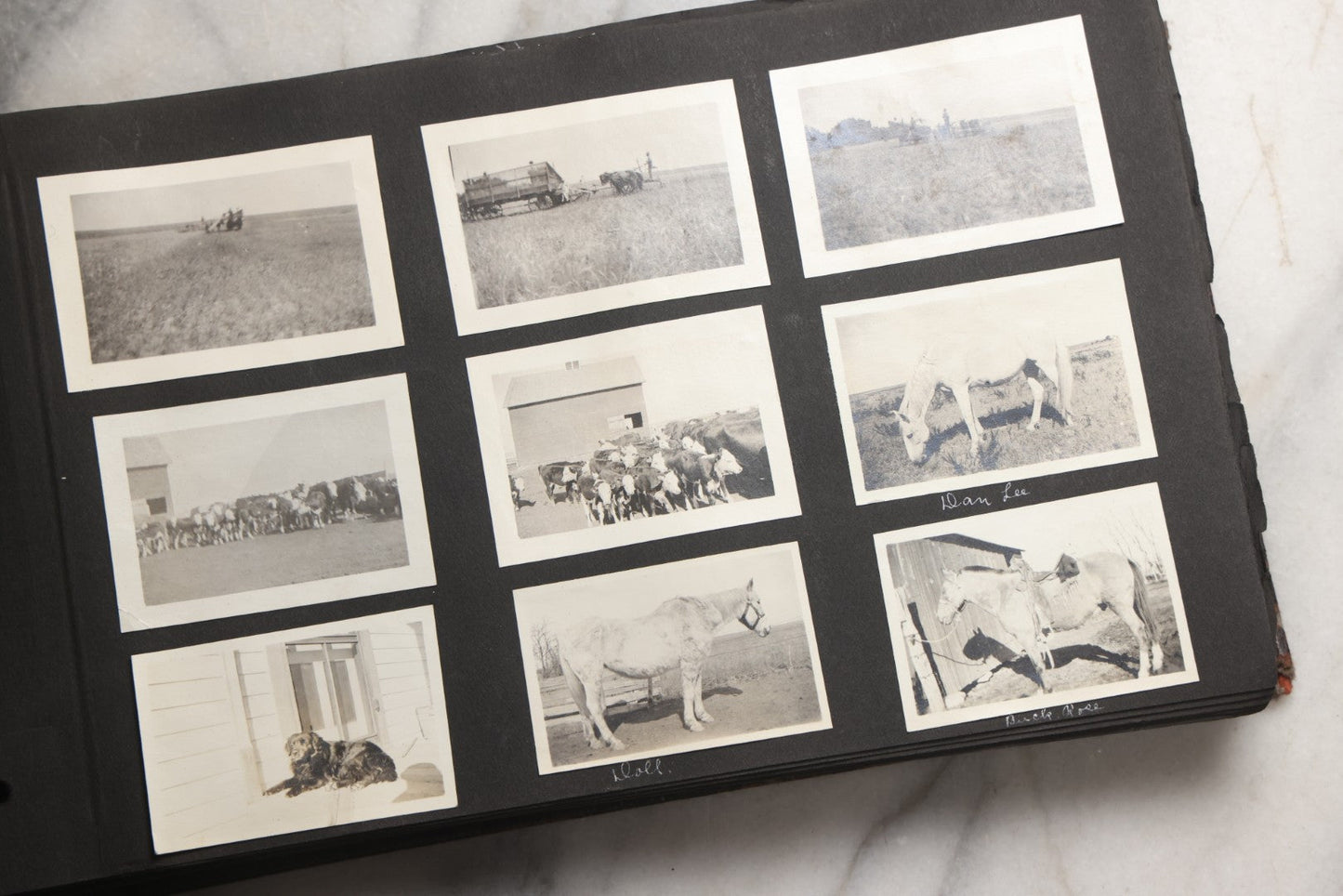 Lot 025 - Antique Snapshot Photo Album Gifted To Zella On Christmas 1916 With 1750+ Photos Of Midwest And Western Scenes Including Telluride & Greeley Colorado, Farm Life, Animals, Automobiles, Oil Wells, Early Aviation, And WWI Soldiers, 1916–1920