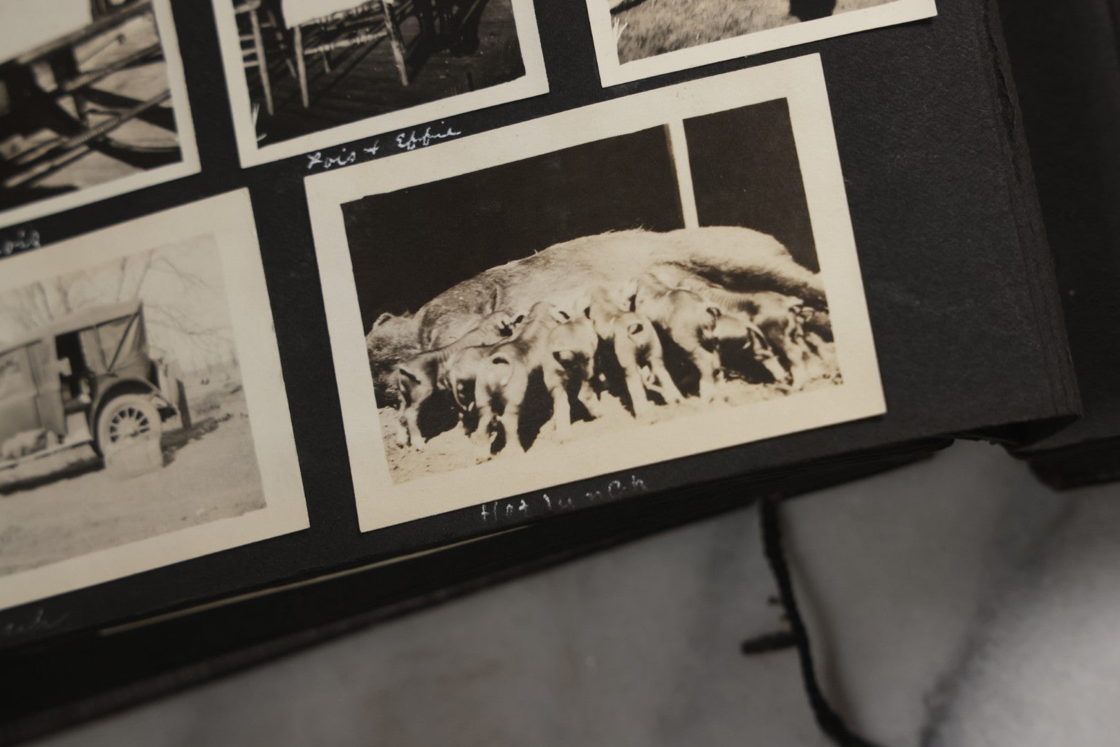 Lot 025 - Antique Snapshot Photo Album Gifted To Zella On Christmas 1916 With 1750+ Photos Of Midwest And Western Scenes Including Telluride & Greeley Colorado, Farm Life, Animals, Automobiles, Oil Wells, Early Aviation, And WWI Soldiers, 1916–1920