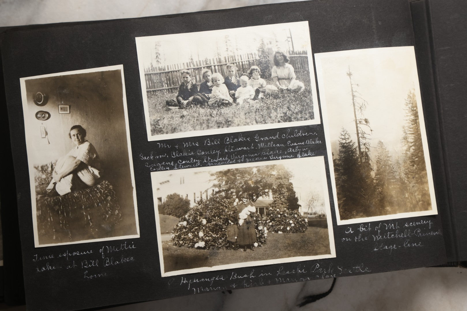 Lot 025 - Antique Snapshot Photo Album Gifted To Zella On Christmas 1916 With 1750+ Photos Of Midwest And Western Scenes Including Telluride & Greeley Colorado, Farm Life, Animals, Automobiles, Oil Wells, Early Aviation, And WWI Soldiers, 1916–1920
