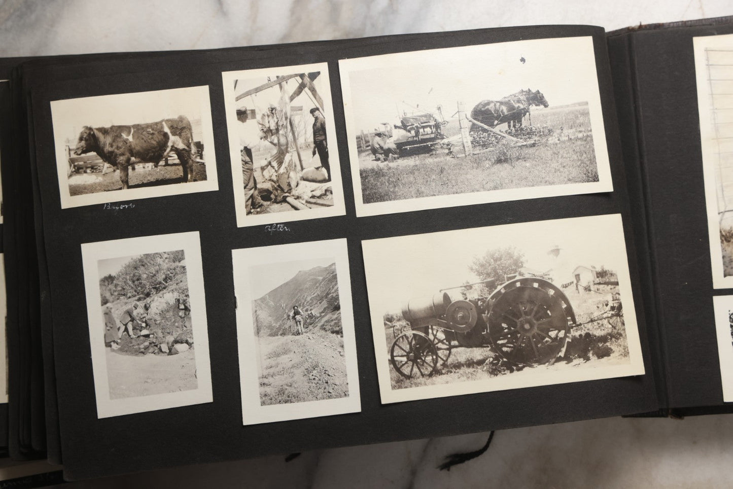 Lot 025 - Antique Snapshot Photo Album Gifted To Zella On Christmas 1916 With 1750+ Photos Of Midwest And Western Scenes Including Telluride & Greeley Colorado, Farm Life, Animals, Automobiles, Oil Wells, Early Aviation, And WWI Soldiers, 1916–1920