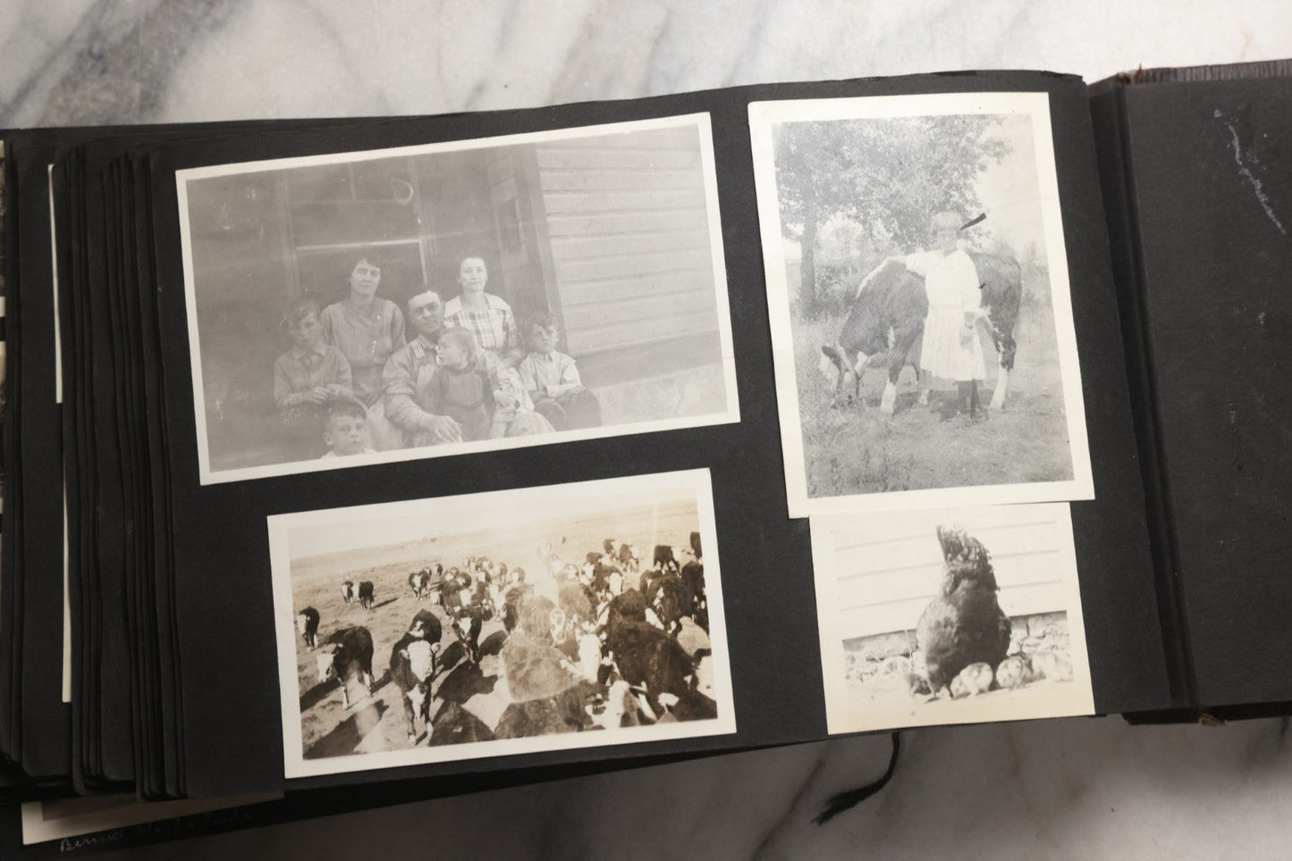 Lot 025 - Antique Snapshot Photo Album Gifted To Zella On Christmas 1916 With 1750+ Photos Of Midwest And Western Scenes Including Telluride & Greeley Colorado, Farm Life, Animals, Automobiles, Oil Wells, Early Aviation, And WWI Soldiers, 1916–1920