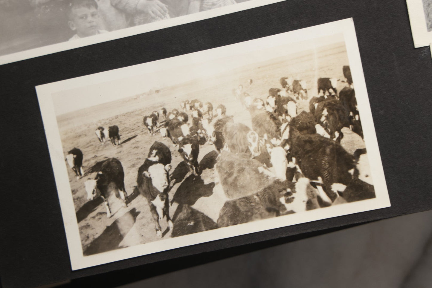 Lot 025 - Antique Snapshot Photo Album Gifted To Zella On Christmas 1916 With 1750+ Photos Of Midwest And Western Scenes Including Telluride & Greeley Colorado, Farm Life, Animals, Automobiles, Oil Wells, Early Aviation, And WWI Soldiers, 1916–1920