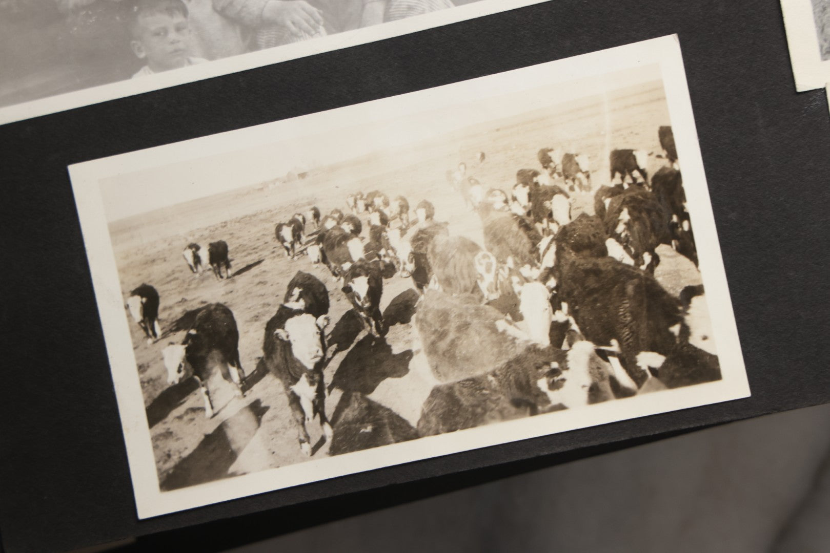 Lot 025 - Antique Snapshot Photo Album Gifted To Zella On Christmas 1916 With 1750+ Photos Of Midwest And Western Scenes Including Telluride & Greeley Colorado, Farm Life, Animals, Automobiles, Oil Wells, Early Aviation, And WWI Soldiers, 1916–1920