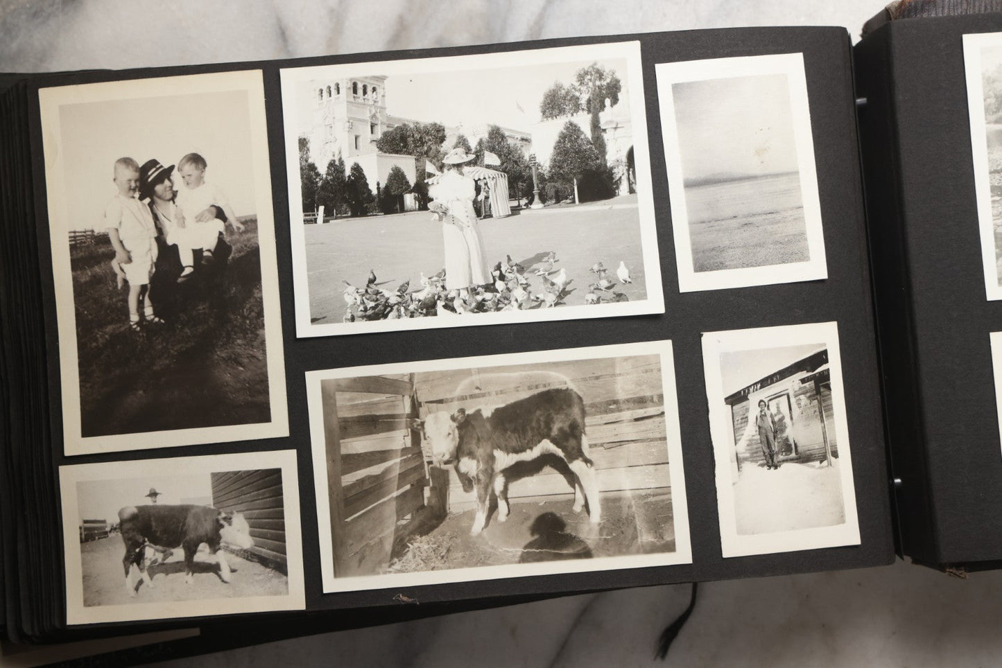 Lot 025 - Antique Snapshot Photo Album Gifted To Zella On Christmas 1916 With 1750+ Photos Of Midwest And Western Scenes Including Telluride & Greeley Colorado, Farm Life, Animals, Automobiles, Oil Wells, Early Aviation, And WWI Soldiers, 1916–1920