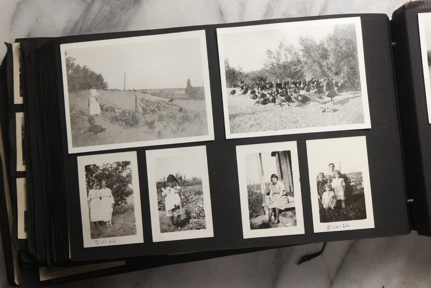 Lot 025 - Antique Snapshot Photo Album Gifted To Zella On Christmas 1916 With 1750+ Photos Of Midwest And Western Scenes Including Telluride & Greeley Colorado, Farm Life, Animals, Automobiles, Oil Wells, Early Aviation, And WWI Soldiers, 1916–1920