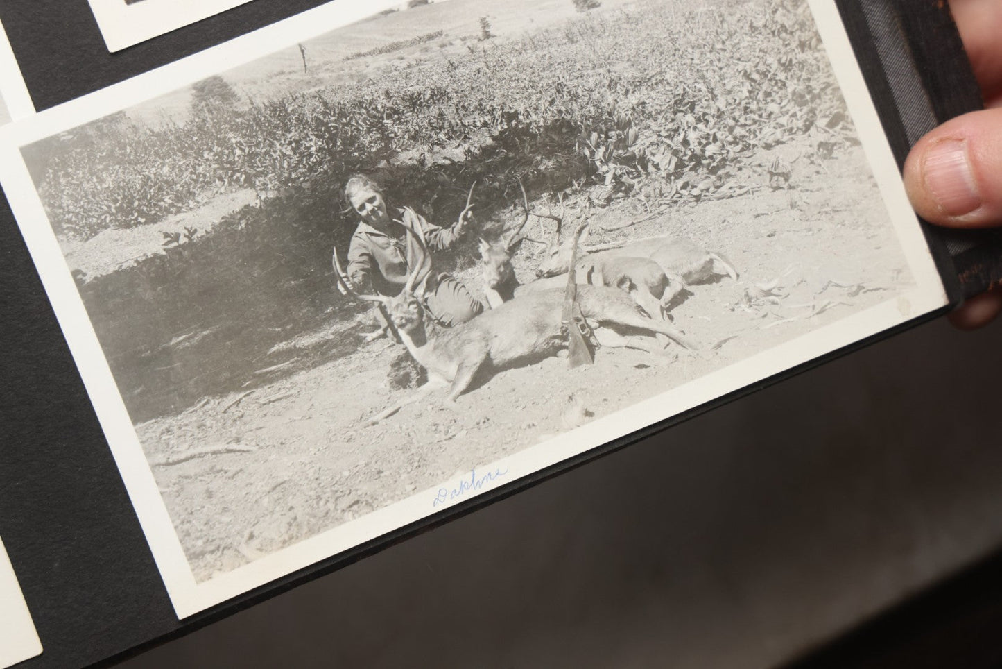 Lot 025 - Antique Snapshot Photo Album Gifted To Zella On Christmas 1916 With 1750+ Photos Of Midwest And Western Scenes Including Telluride & Greeley Colorado, Farm Life, Animals, Automobiles, Oil Wells, Early Aviation, And WWI Soldiers, 1916–1920