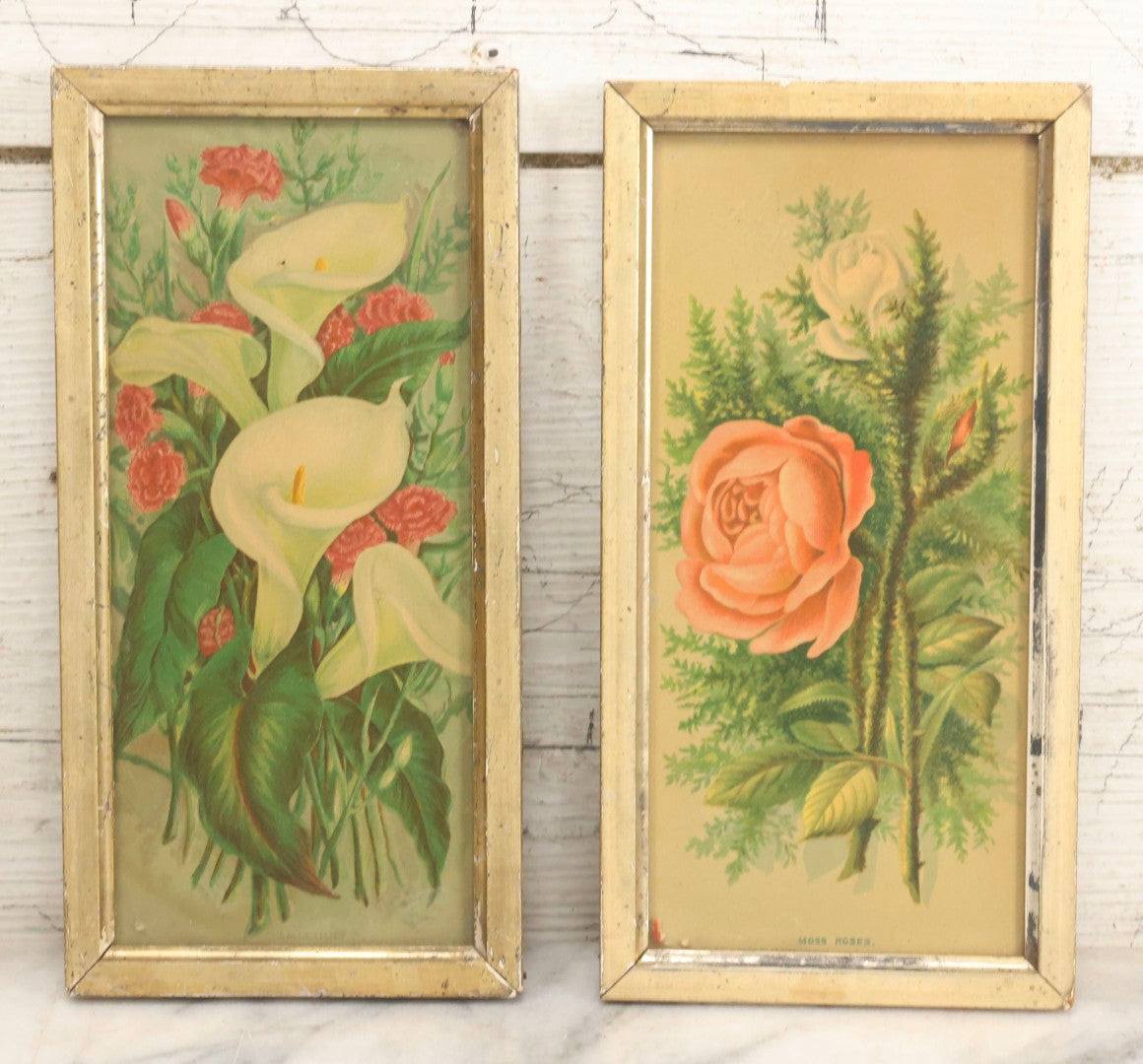 Lot 062 - Pair Of Antique Chromolithograph Floral Prints Of Moss Roses And Calla Lilies In Matching Narrow Gold-Painted Wood Frames With Original Wood Backs