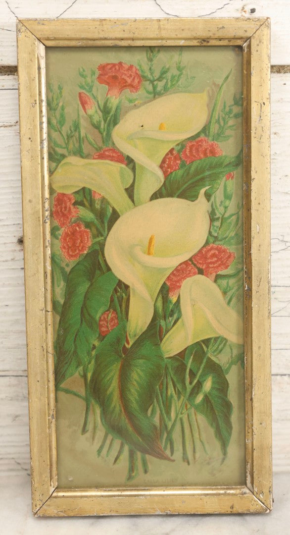 Lot 062 - Pair Of Antique Chromolithograph Floral Prints Of Moss Roses And Calla Lilies In Matching Narrow Gold-Painted Wood Frames With Original Wood Backs