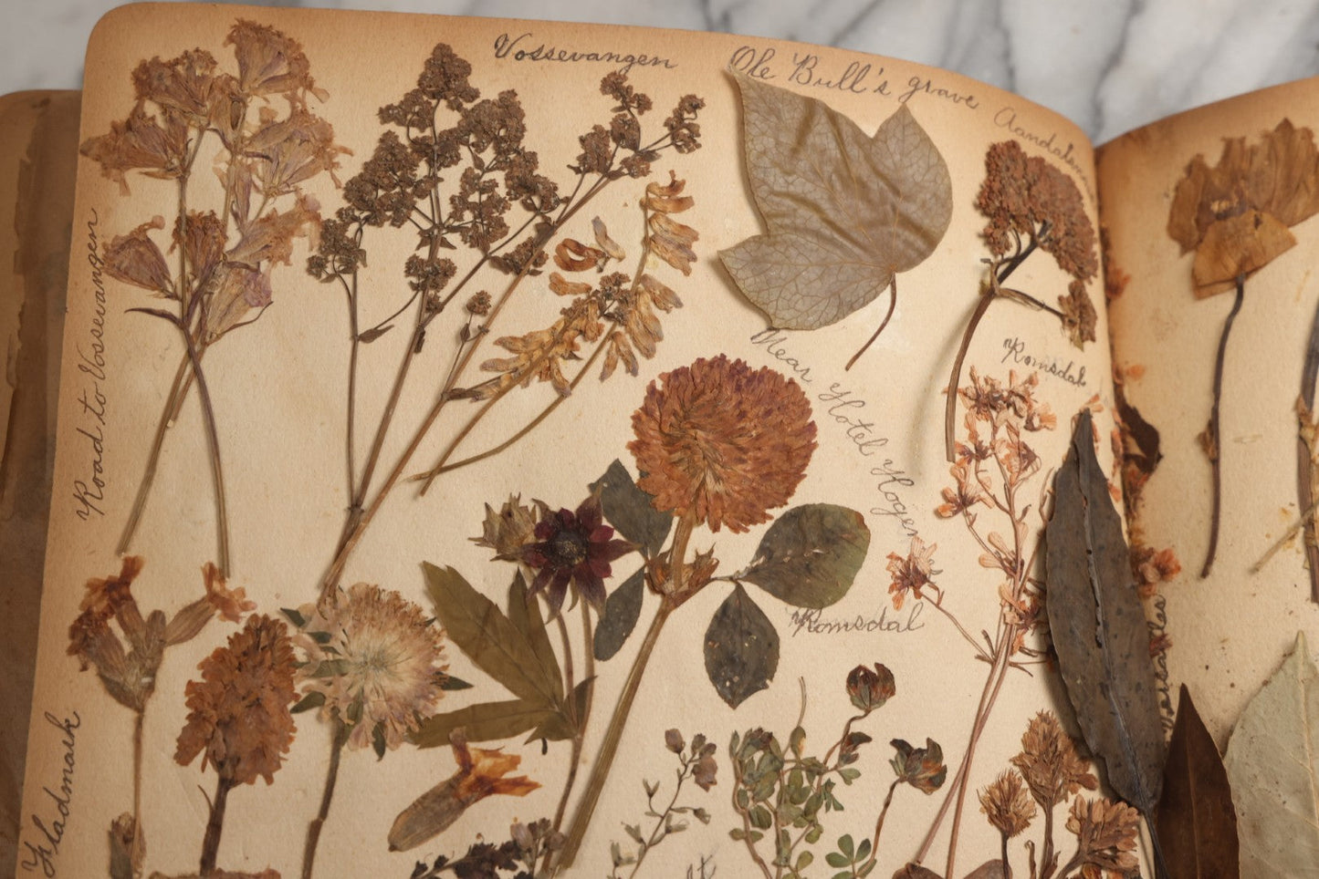 Lot 079 - Antique Red Scrapbook Album With Silver Painted Embossed Decorations, Hamburg, Stockholm, Paris, England, Stratford-On-Avon, Scotland, Liverpool Ephemera, Two Full Spreads Homemade Herbarium, Circa 1896