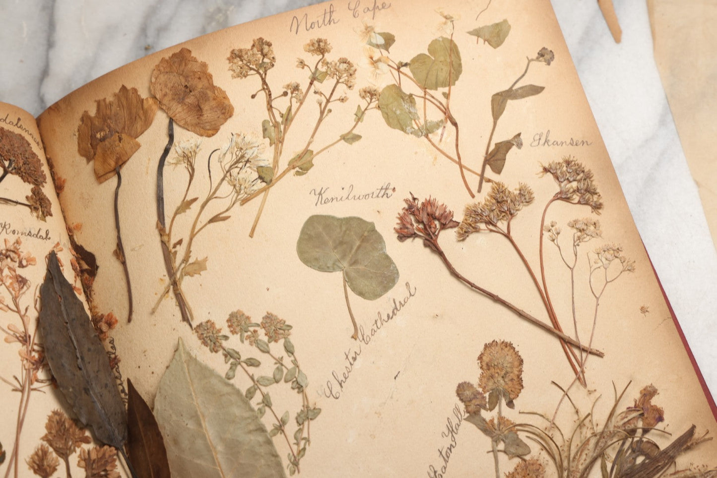 Lot 079 - Antique Red Scrapbook Album With Silver Painted Embossed Decorations, Hamburg, Stockholm, Paris, England, Stratford-On-Avon, Scotland, Liverpool Ephemera, Two Full Spreads Homemade Herbarium, Circa 1896