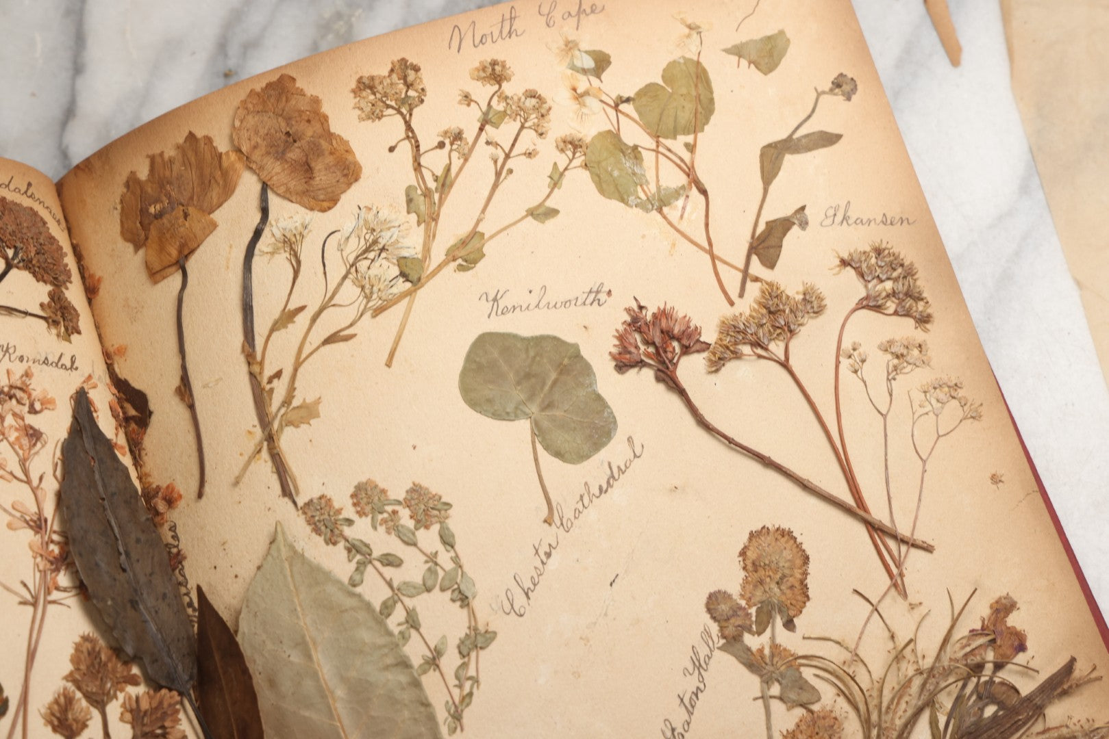 Lot 079 - Antique Red Scrapbook Album With Silver Painted Embossed Decorations, Hamburg, Stockholm, Paris, England, Stratford-On-Avon, Scotland, Liverpool Ephemera, Two Full Spreads Homemade Herbarium, Circa 1896