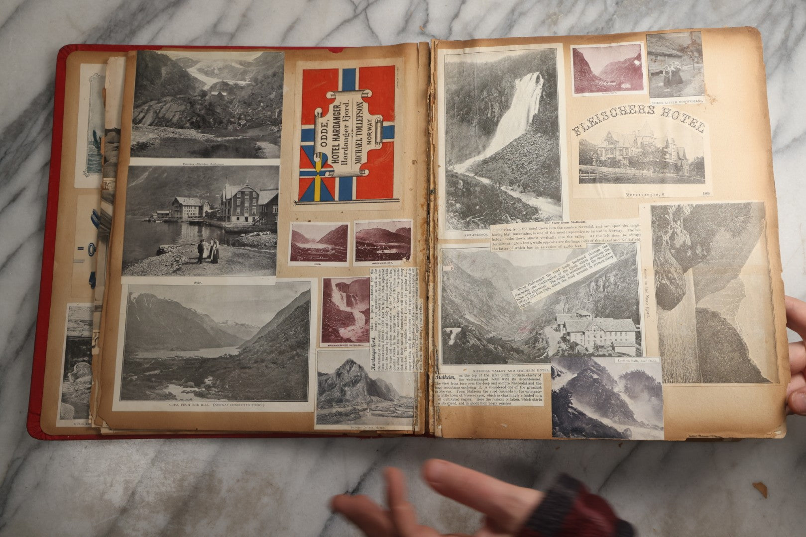 Lot 079 - Antique Red Scrapbook Album With Silver Painted Embossed Decorations, Hamburg, Stockholm, Paris, England, Stratford-On-Avon, Scotland, Liverpool Ephemera, Two Full Spreads Homemade Herbarium, Circa 1896