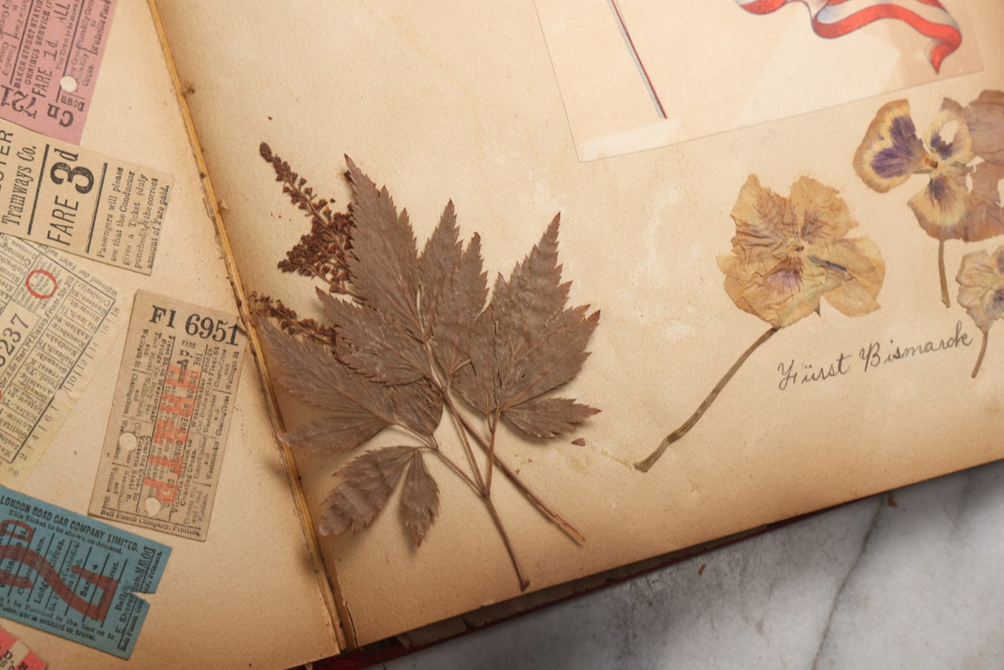 Lot 079 - Antique Red Scrapbook Album With Silver Painted Embossed Decorations, Hamburg, Stockholm, Paris, England, Stratford-On-Avon, Scotland, Liverpool Ephemera, Two Full Spreads Homemade Herbarium, Circa 1896