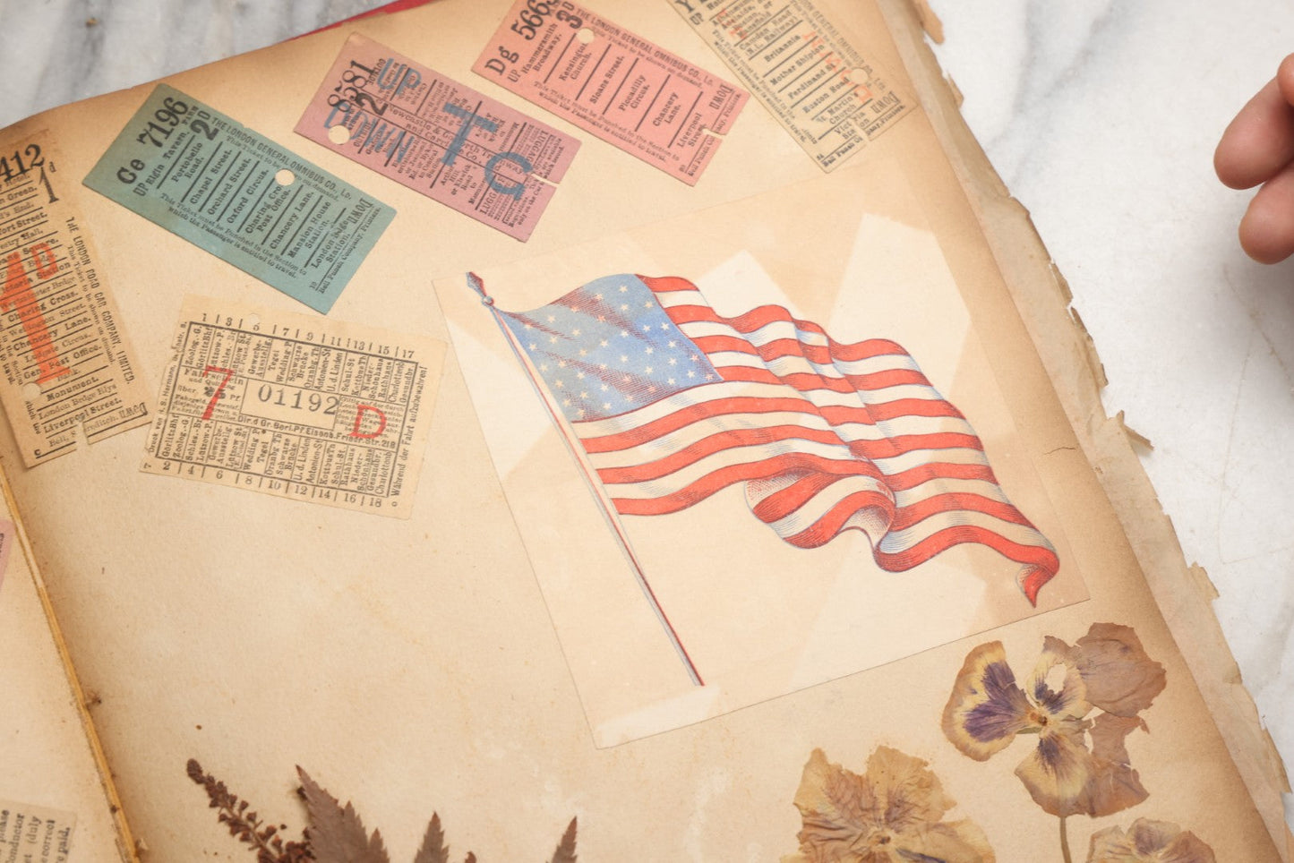 Lot 079 - Antique Red Scrapbook Album With Silver Painted Embossed Decorations, Hamburg, Stockholm, Paris, England, Stratford-On-Avon, Scotland, Liverpool Ephemera, Two Full Spreads Homemade Herbarium, Circa 1896