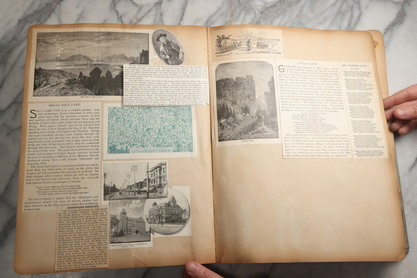 Lot 080 - Antique Light Blue Scrapbook Album With Silver Painted Embossed Decorations, California, San Francisco Chinatown, Oakland, Yosemite Ephemera, Homemade Herbarium With Location Captions Including Yellowstone Park And Utah, Circa 1897
