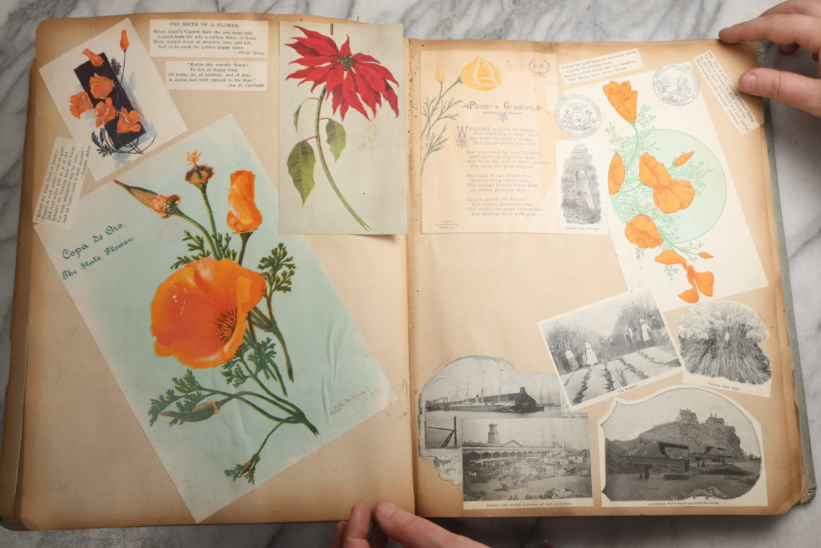 Lot 080 - Antique Light Blue Scrapbook Album With Silver Painted Embossed Decorations, California, San Francisco Chinatown, Oakland, Yosemite Ephemera, Homemade Herbarium With Location Captions Including Yellowstone Park And Utah, Circa 1897