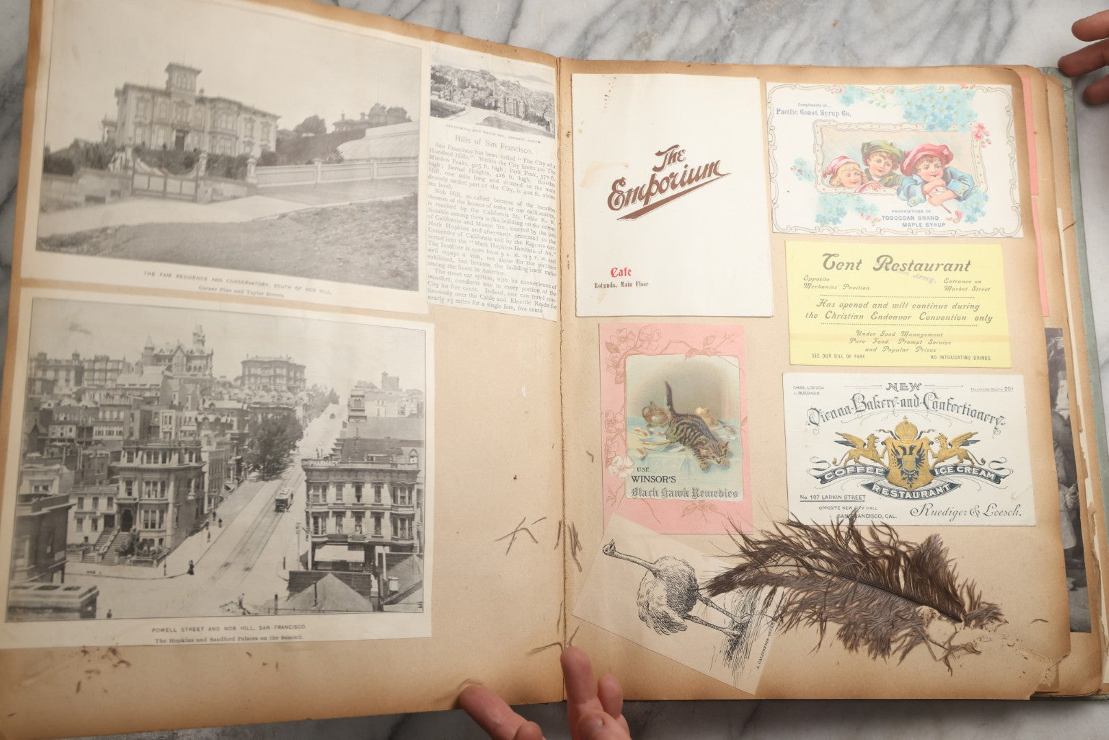 Lot 080 - Antique Light Blue Scrapbook Album With Silver Painted Embossed Decorations, California, San Francisco Chinatown, Oakland, Yosemite Ephemera, Homemade Herbarium With Location Captions Including Yellowstone Park And Utah, Circa 1897