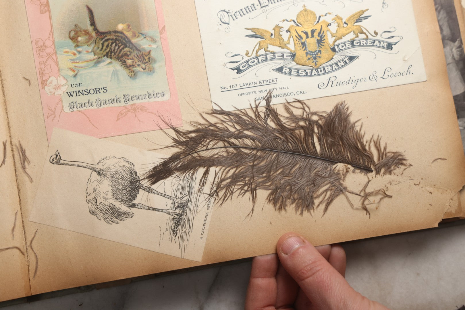 Lot 080 - Antique Light Blue Scrapbook Album With Silver Painted Embossed Decorations, California, San Francisco Chinatown, Oakland, Yosemite Ephemera, Homemade Herbarium With Location Captions Including Yellowstone Park And Utah, Circa 1897