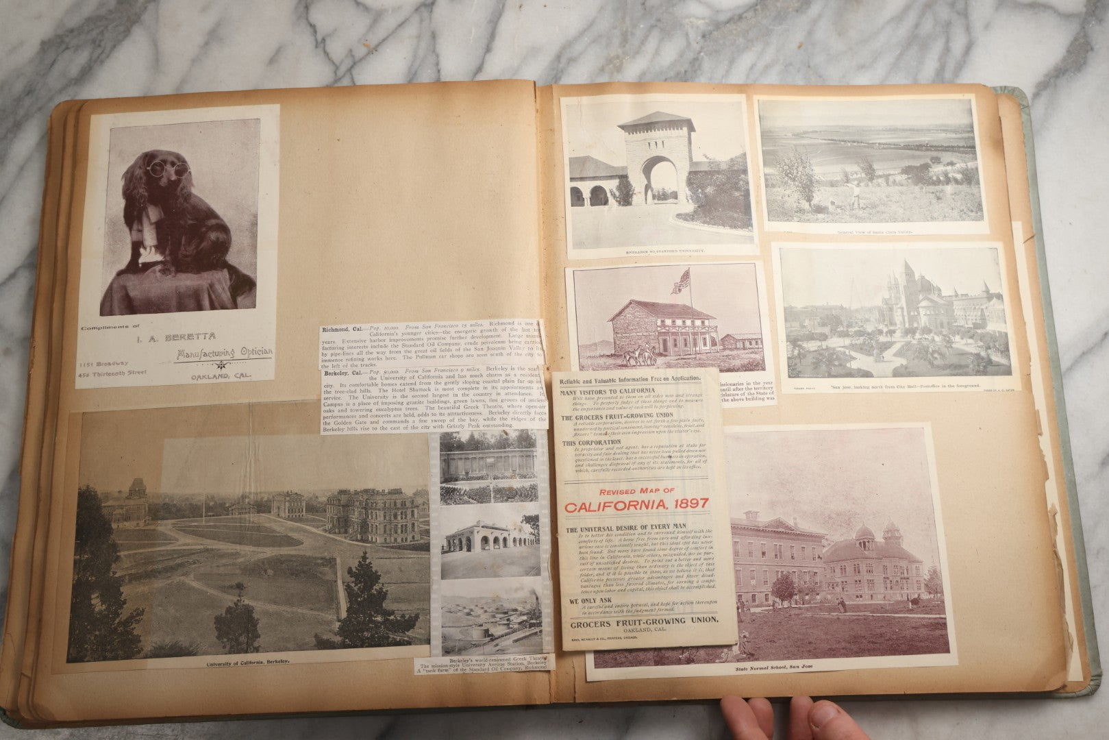 Lot 080 - Antique Light Blue Scrapbook Album With Silver Painted Embossed Decorations, California, San Francisco Chinatown, Oakland, Yosemite Ephemera, Homemade Herbarium With Location Captions Including Yellowstone Park And Utah, Circa 1897