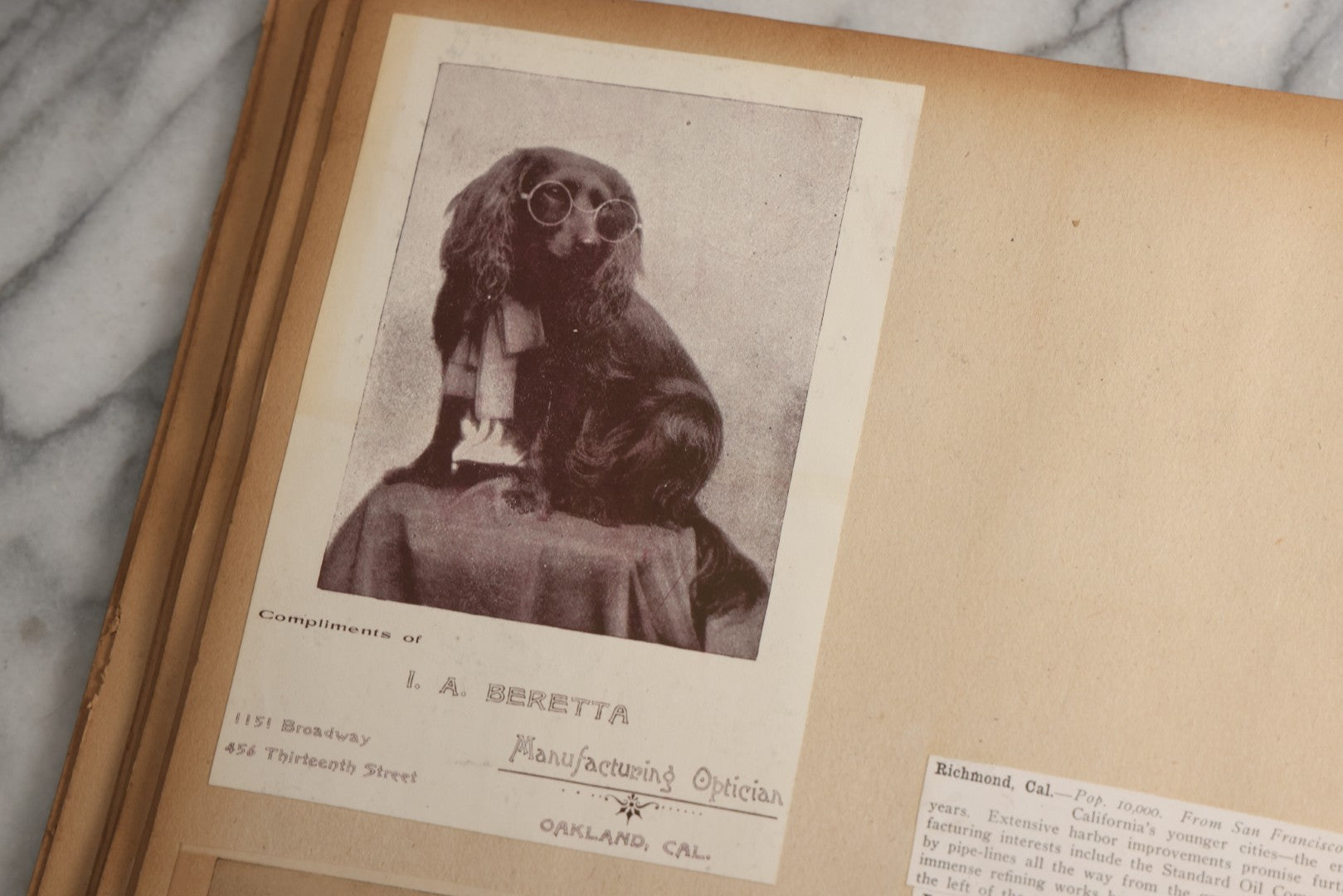 Lot 080 - Antique Light Blue Scrapbook Album With Silver Painted Embossed Decorations, California, San Francisco Chinatown, Oakland, Yosemite Ephemera, Homemade Herbarium With Location Captions Including Yellowstone Park And Utah, Circa 1897