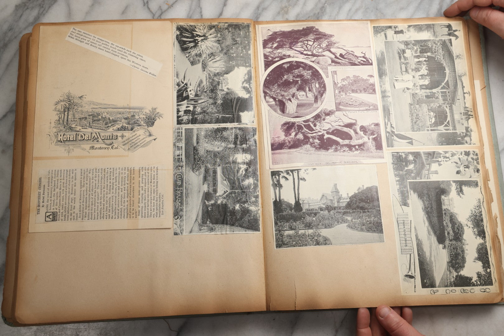 Lot 080 - Antique Light Blue Scrapbook Album With Silver Painted Embossed Decorations, California, San Francisco Chinatown, Oakland, Yosemite Ephemera, Homemade Herbarium With Location Captions Including Yellowstone Park And Utah, Circa 1897