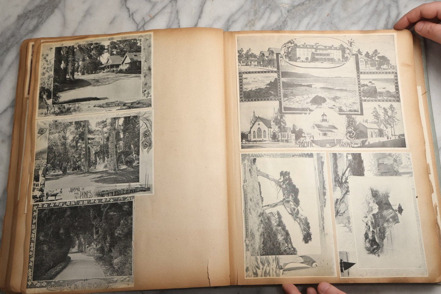 Lot 080 - Antique Light Blue Scrapbook Album With Silver Painted Embossed Decorations, California, San Francisco Chinatown, Oakland, Yosemite Ephemera, Homemade Herbarium With Location Captions Including Yellowstone Park And Utah, Circa 1897