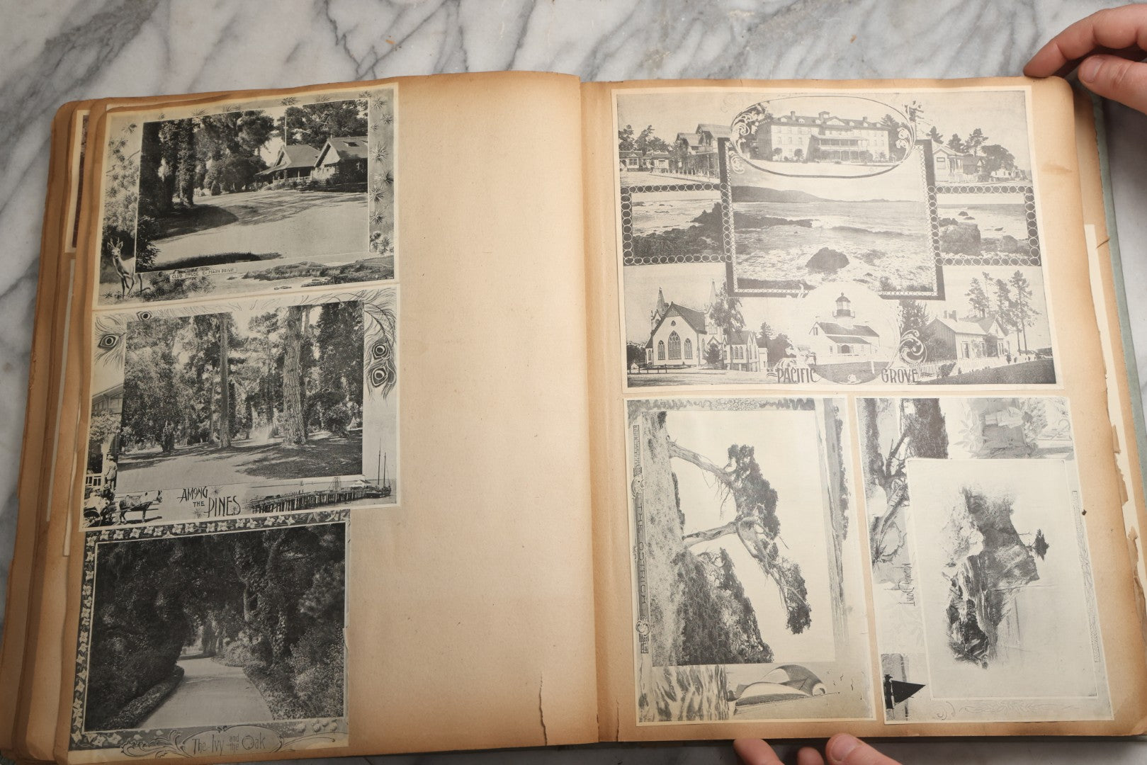 Lot 080 - Antique Light Blue Scrapbook Album With Silver Painted Embossed Decorations, California, San Francisco Chinatown, Oakland, Yosemite Ephemera, Homemade Herbarium With Location Captions Including Yellowstone Park And Utah, Circa 1897