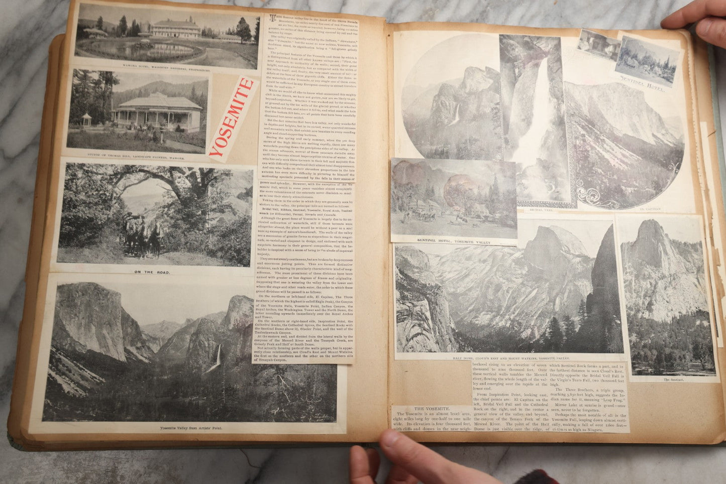 Lot 080 - Antique Light Blue Scrapbook Album With Silver Painted Embossed Decorations, California, San Francisco Chinatown, Oakland, Yosemite Ephemera, Homemade Herbarium With Location Captions Including Yellowstone Park And Utah, Circa 1897