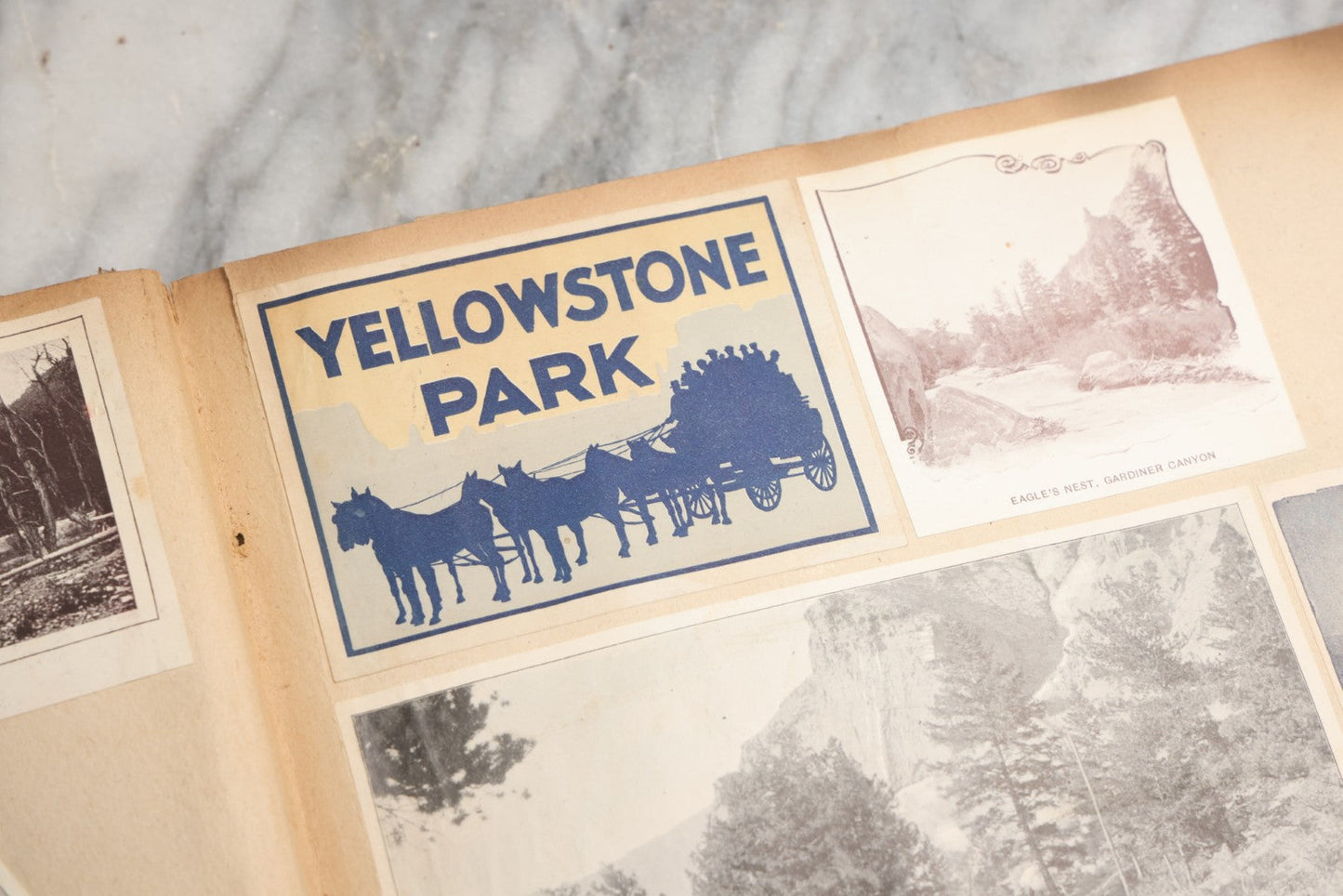 Lot 080 - Antique Light Blue Scrapbook Album With Silver Painted Embossed Decorations, California, San Francisco Chinatown, Oakland, Yosemite Ephemera, Homemade Herbarium With Location Captions Including Yellowstone Park And Utah, Circa 1897