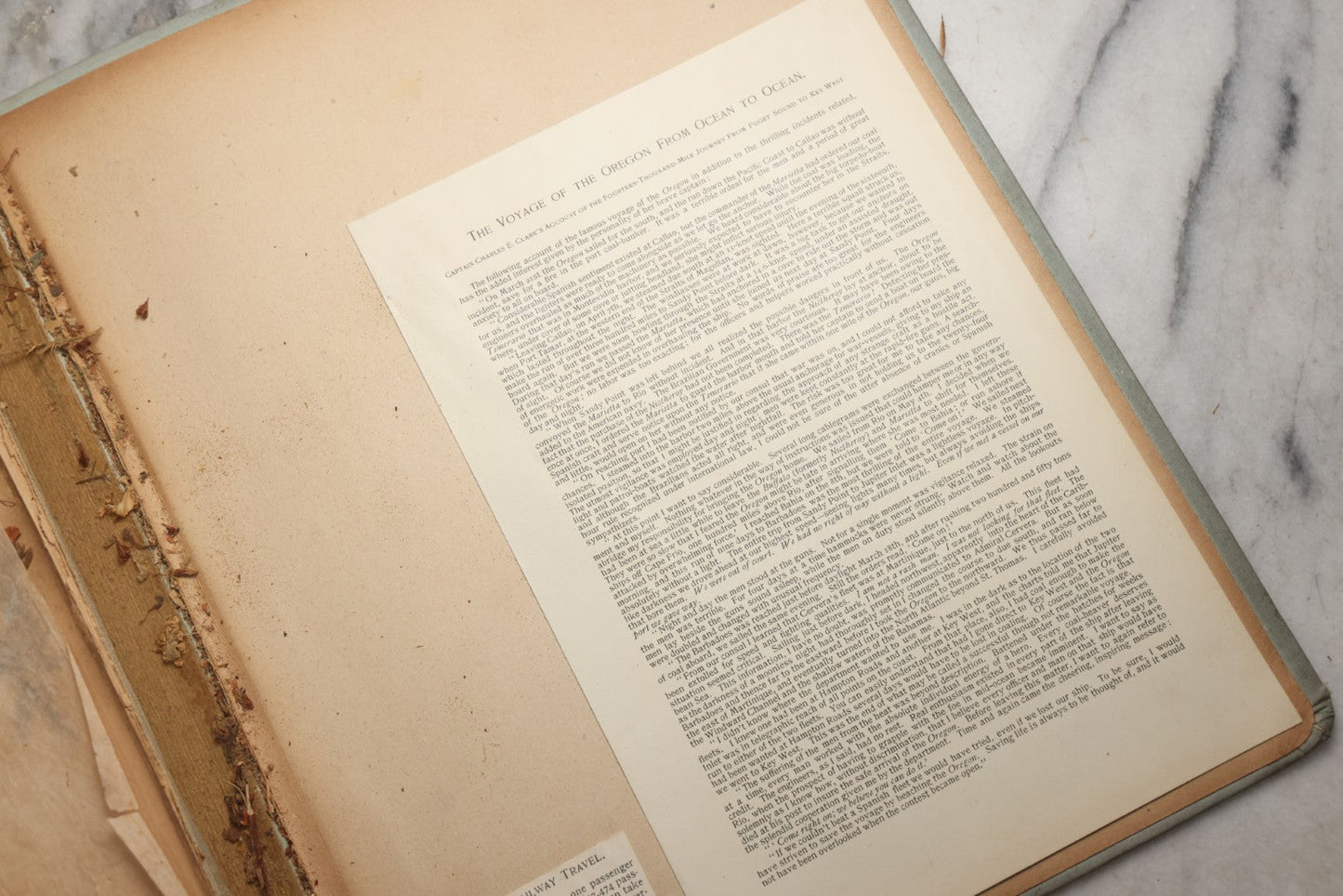 Lot 080 - Antique Light Blue Scrapbook Album With Silver Painted Embossed Decorations, California, San Francisco Chinatown, Oakland, Yosemite Ephemera, Homemade Herbarium With Location Captions Including Yellowstone Park And Utah, Circa 1897