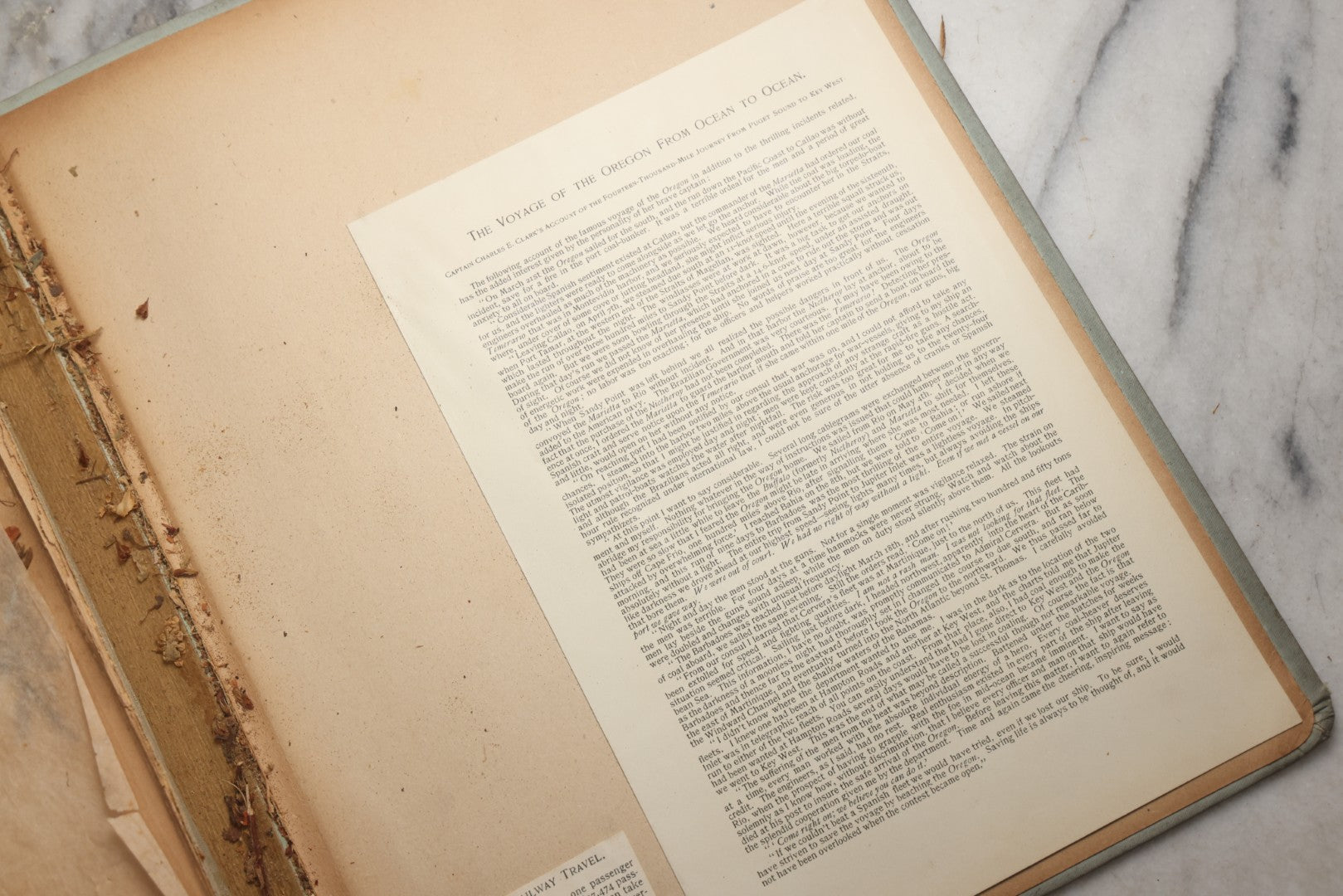 Lot 080 - Antique Light Blue Scrapbook Album With Silver Painted Embossed Decorations, California, San Francisco Chinatown, Oakland, Yosemite Ephemera, Homemade Herbarium With Location Captions Including Yellowstone Park And Utah, Circa 1897