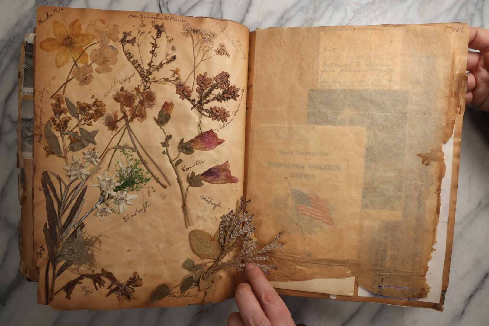 Lot 081 - Antique Marbled Paper Scrapbook Album With Board And Fabric Binding, England, Holland, France, European Travel Ephemera, Two Spreads Homemade Herbarium, Circa 1899