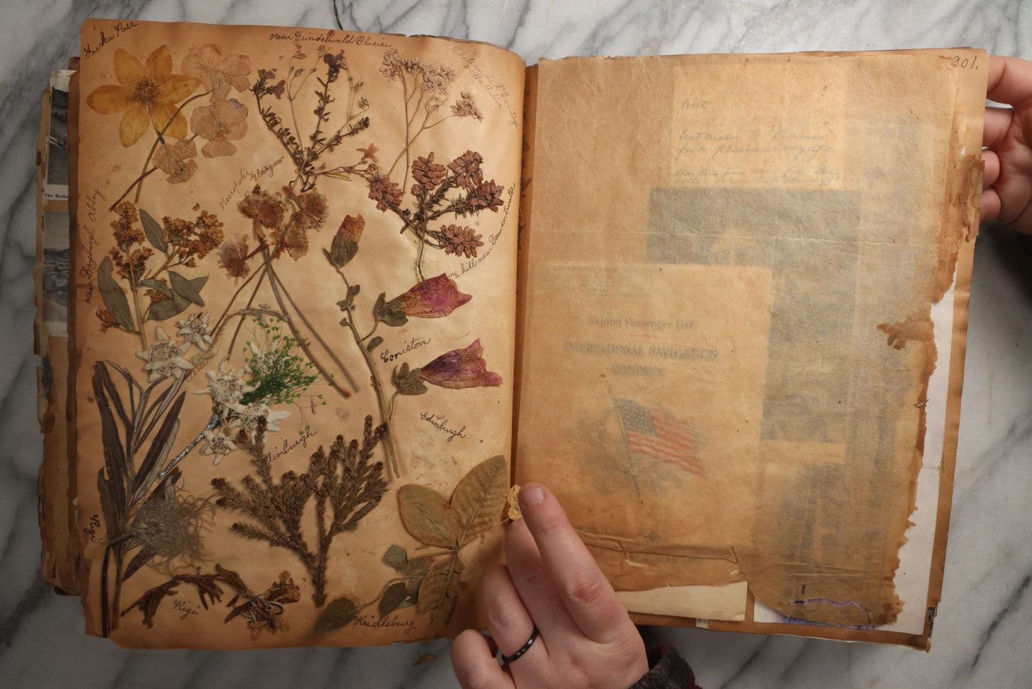 Lot 081 - Antique Marbled Paper Scrapbook Album With Board And Fabric Binding, England, Holland, France, European Travel Ephemera, Two Spreads Homemade Herbarium, Circa 1899