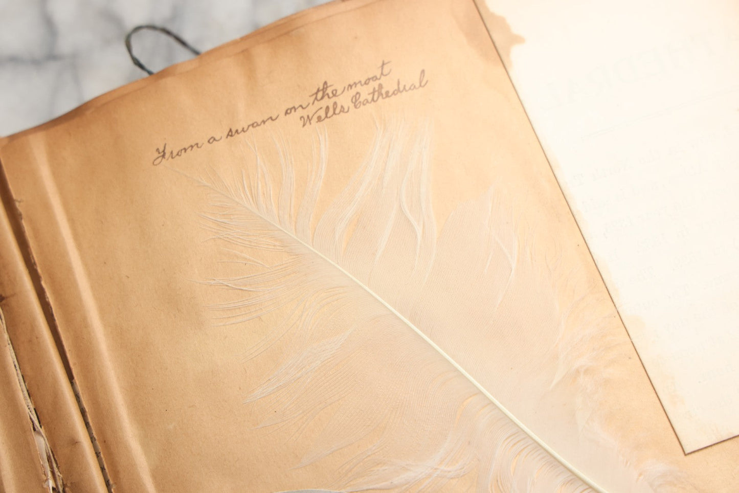 Lot 081 - Antique Marbled Paper Scrapbook Album With Board And Fabric Binding, England, Holland, France, European Travel Ephemera, Two Spreads Homemade Herbarium, Circa 1899