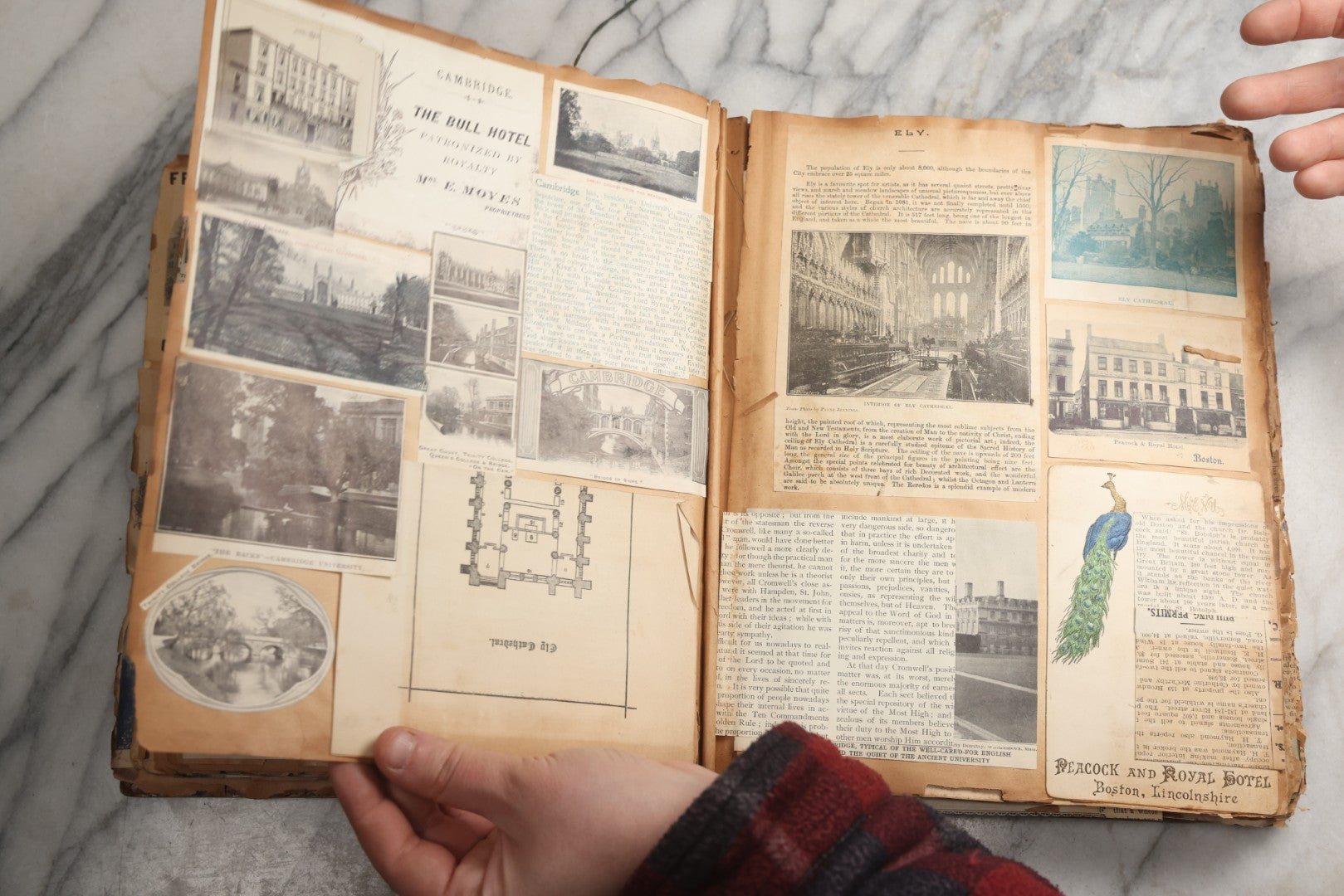 Lot 081 - Antique Marbled Paper Scrapbook Album With Board And Fabric Binding, England, Holland, France, European Travel Ephemera, Two Spreads Homemade Herbarium, Circa 1899