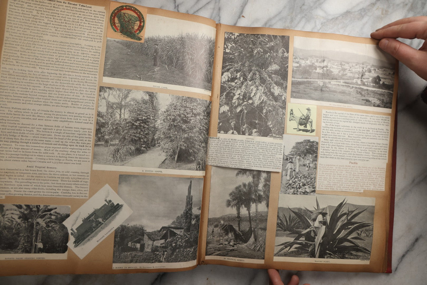 Lot 083 - Antique Red Scrapbook Album With American Colleges, American And Mexico Travel, Caribbean Culture Ephemera, Pressed Flowers Throughout, Circa 1903