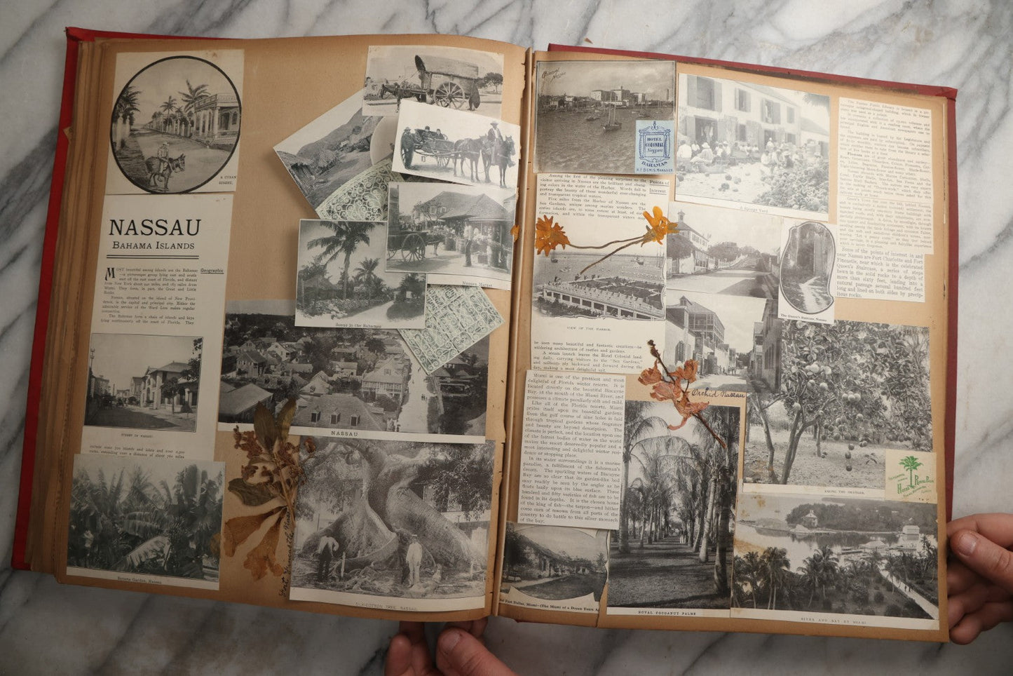 Lot 083 - Antique Red Scrapbook Album With American Colleges, American And Mexico Travel, Caribbean Culture Ephemera, Pressed Flowers Throughout, Circa 1903