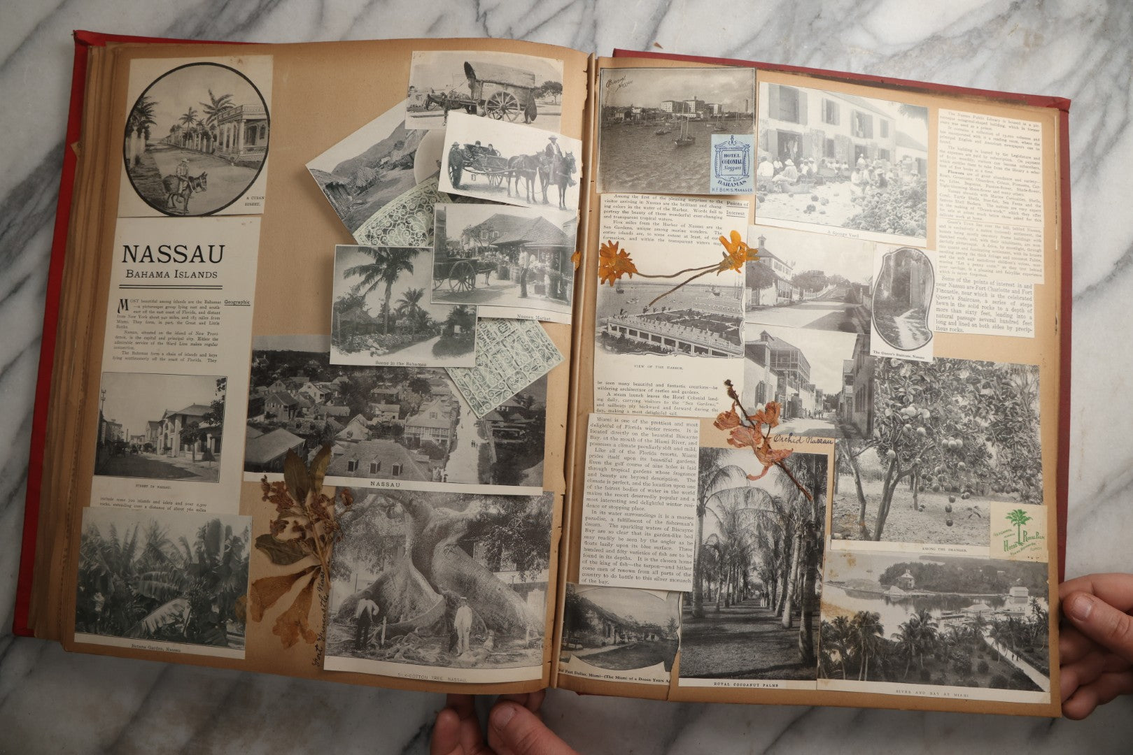 Lot 083 - Antique Red Scrapbook Album With American Colleges, American And Mexico Travel, Caribbean Culture Ephemera, Pressed Flowers Throughout, Circa 1903