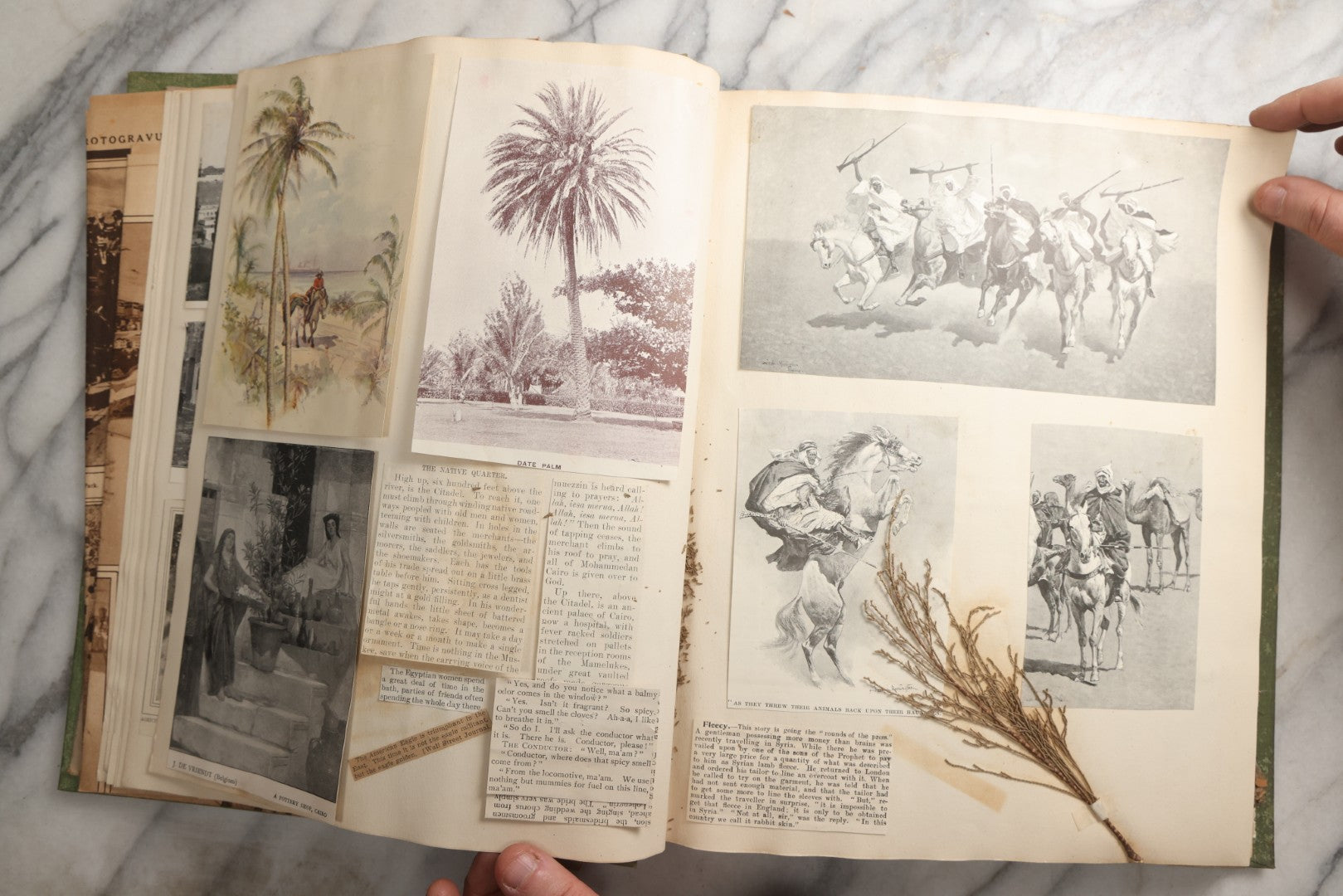 Lot 086 - Antique Green Scrapbook Album Around The World Travel Ephemera Including Japan, India, Ceylon, Hawaii, Egypt, Middle East, Pressed Flowers, Loose Ephemera, Circa 1909